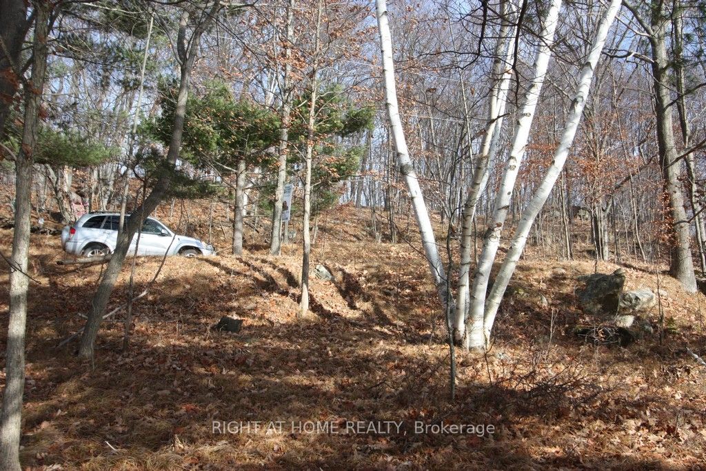 00 Hopper Lane Property Photo 2