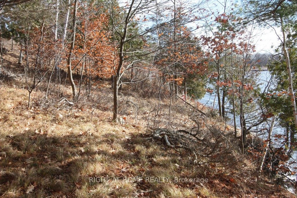 00 Hopper Lane Property Photo 3