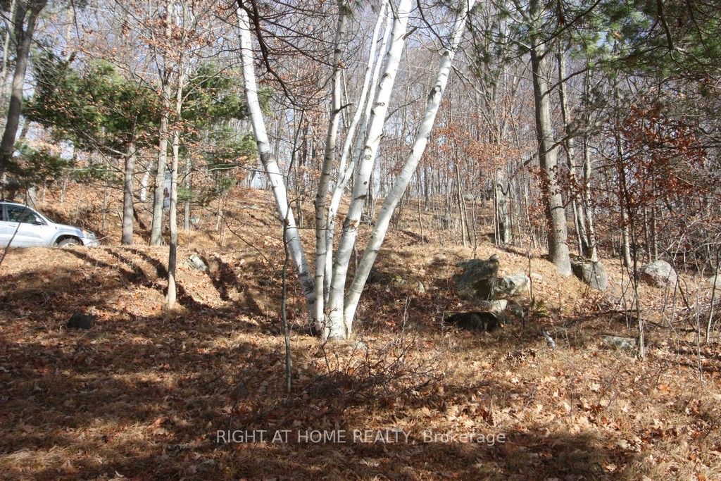 00 Hopper Lane Property Photo 6