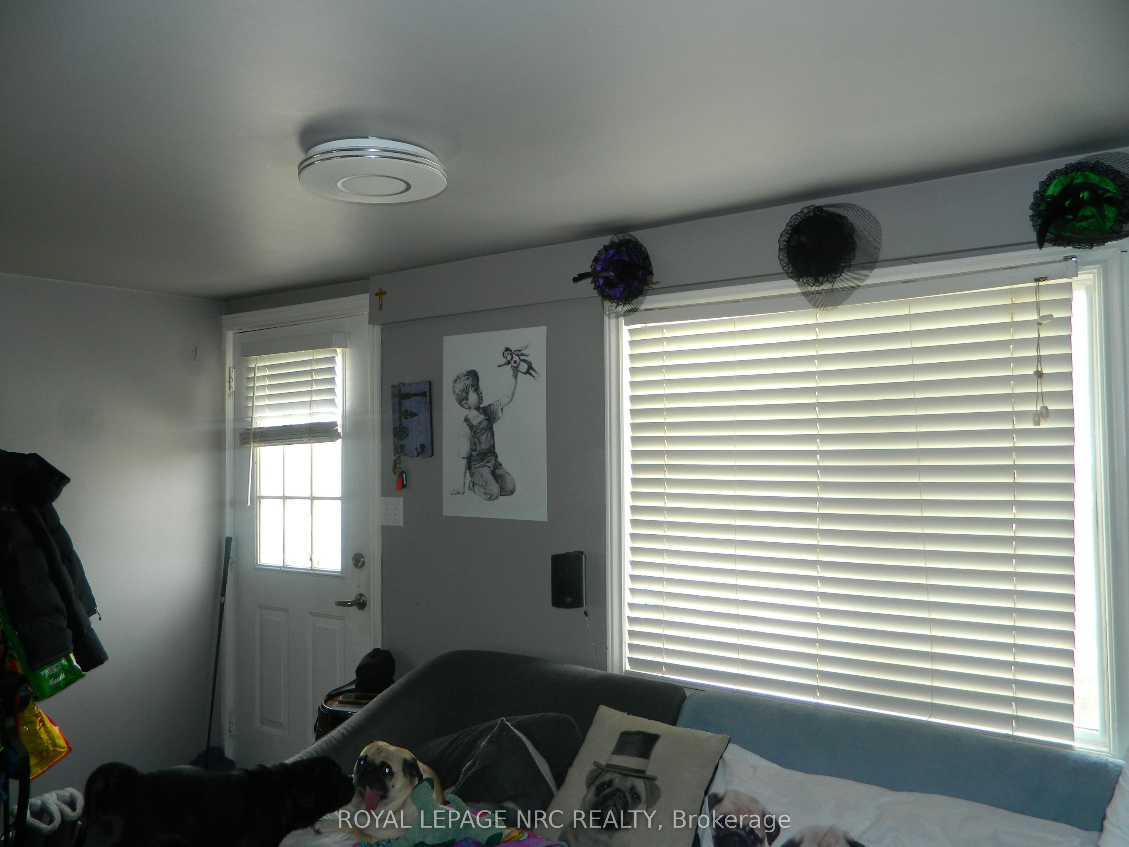 132 Albert St Property Photo 24