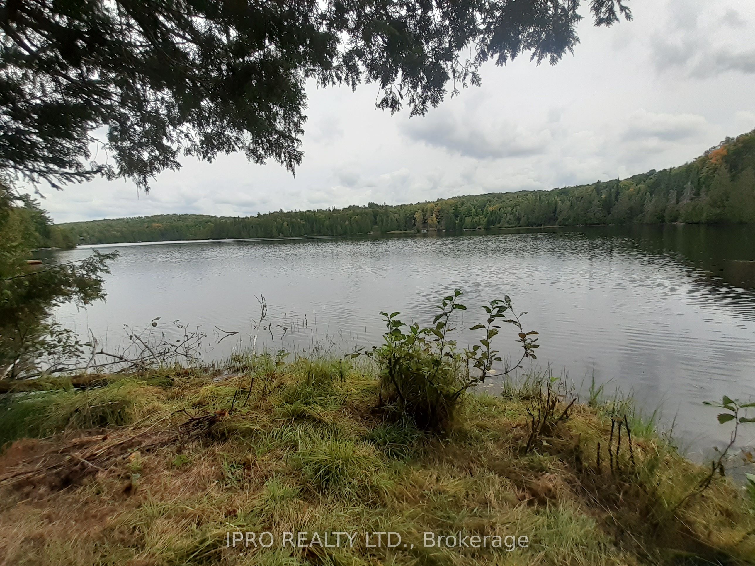 6447 Opeongo Rd Property Photo 2