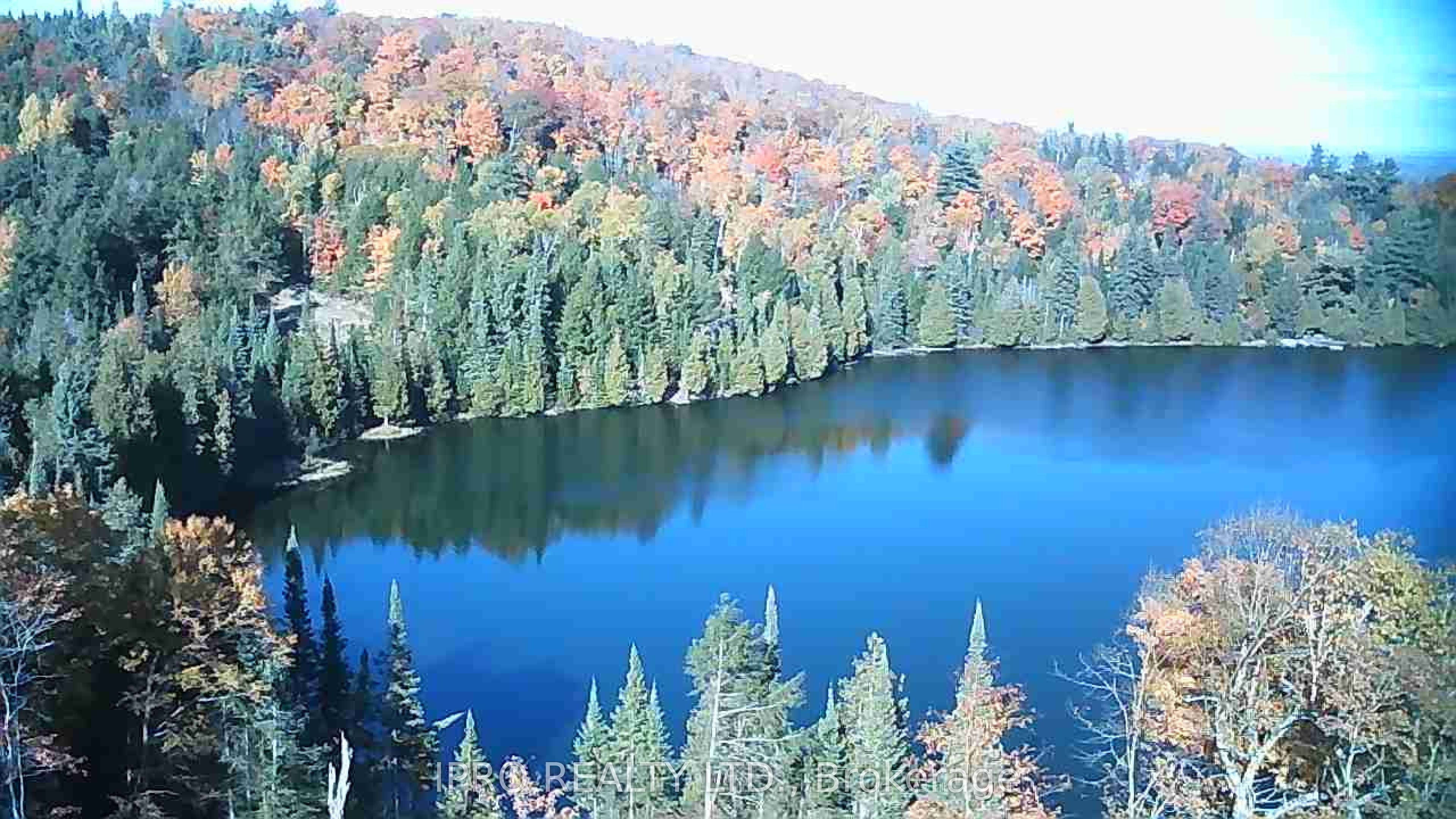 6447 Opeongo Rd Property Photo 3