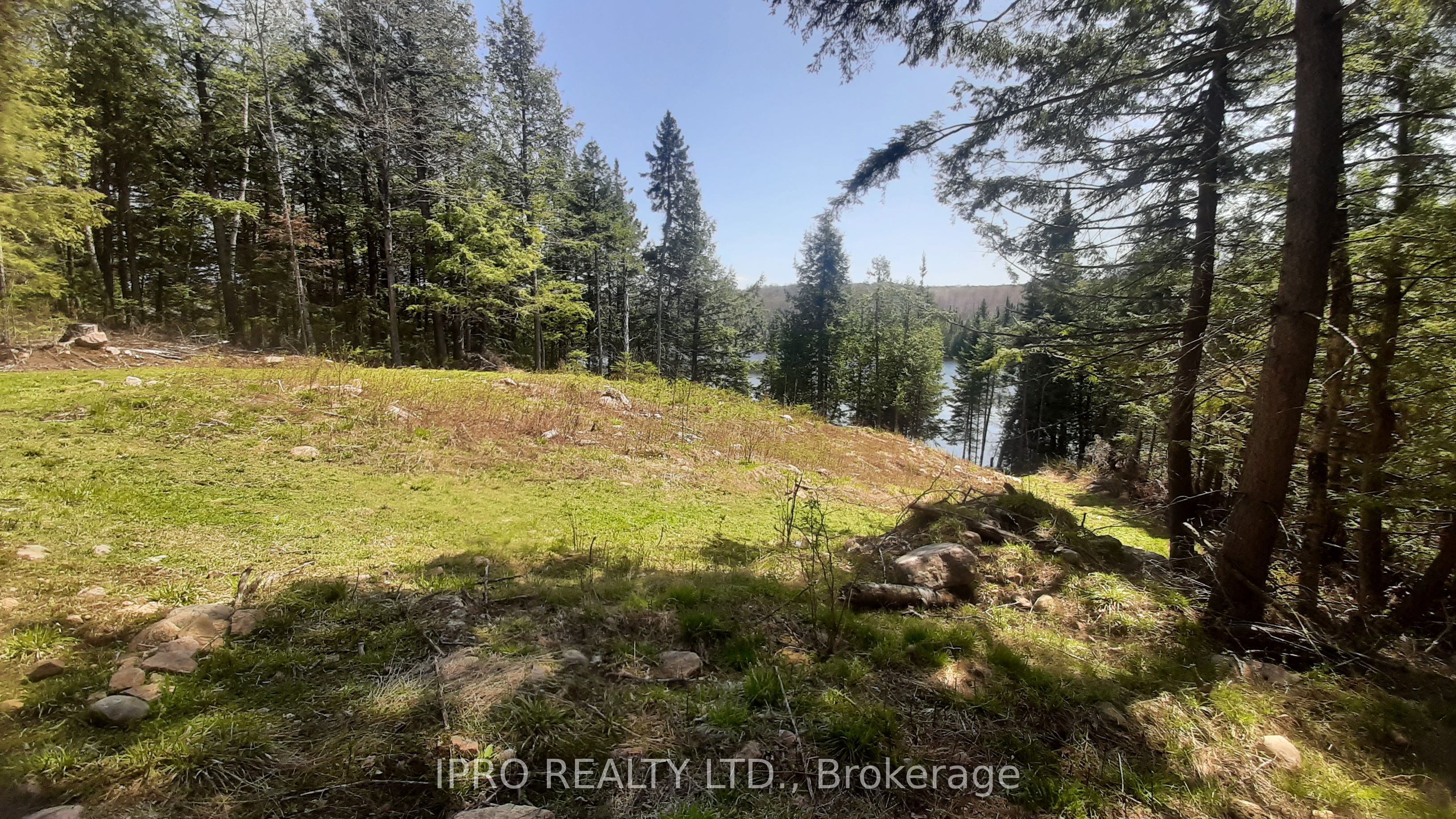 6447 Opeongo Rd Property Photo 4