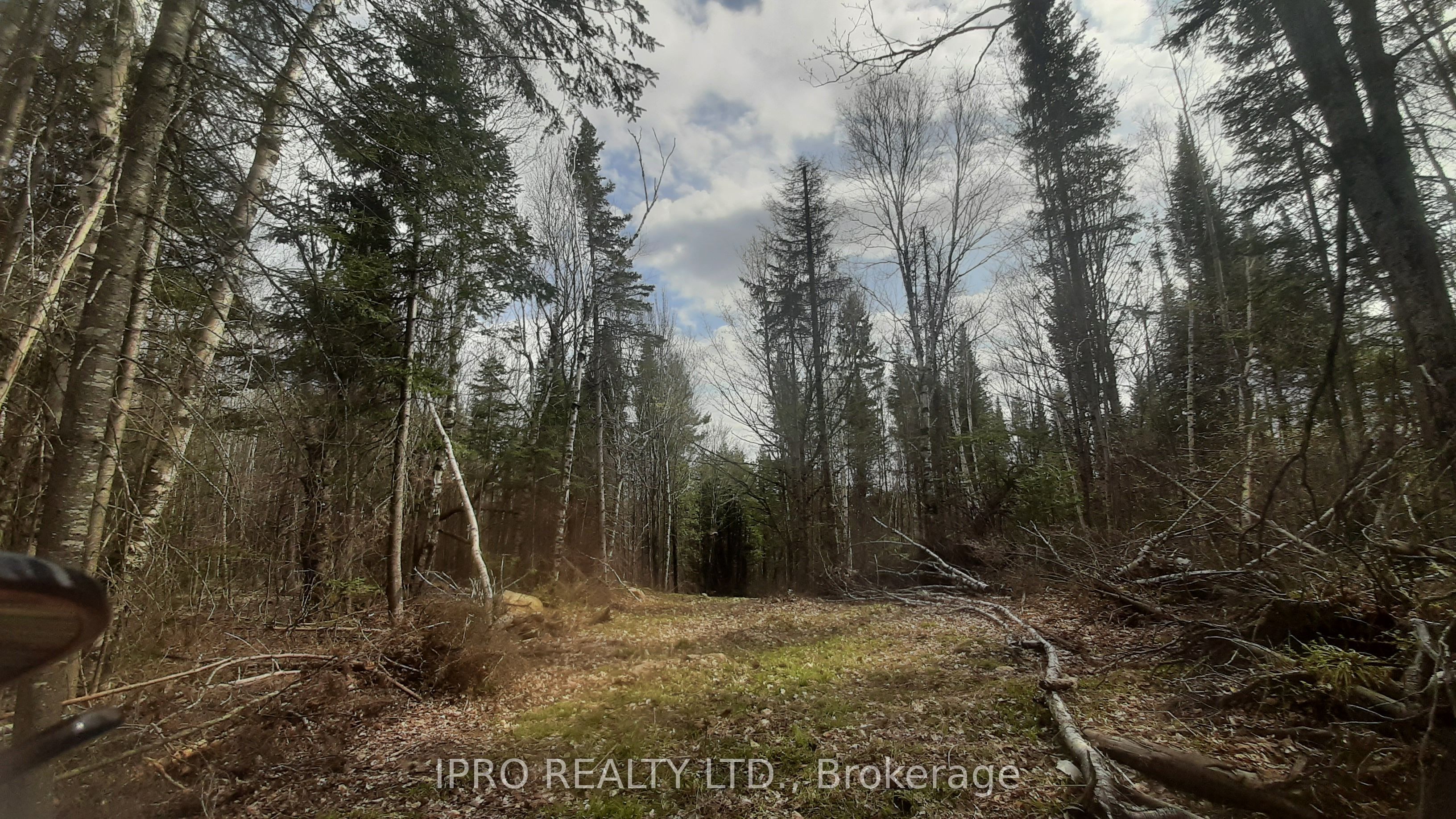 6447 Opeongo Rd Property Photo 7
