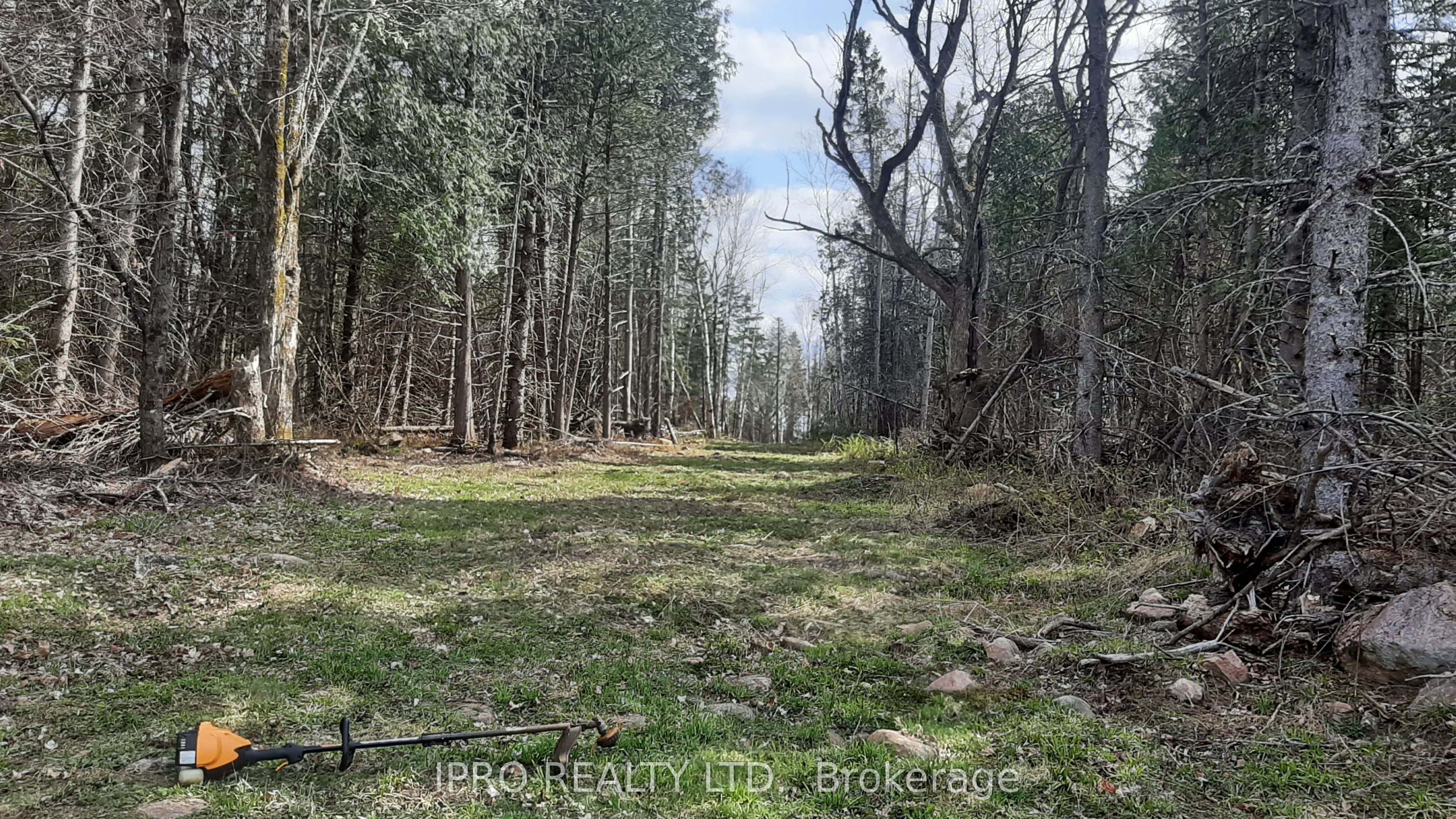 6447 Opeongo Rd Property Photo 8
