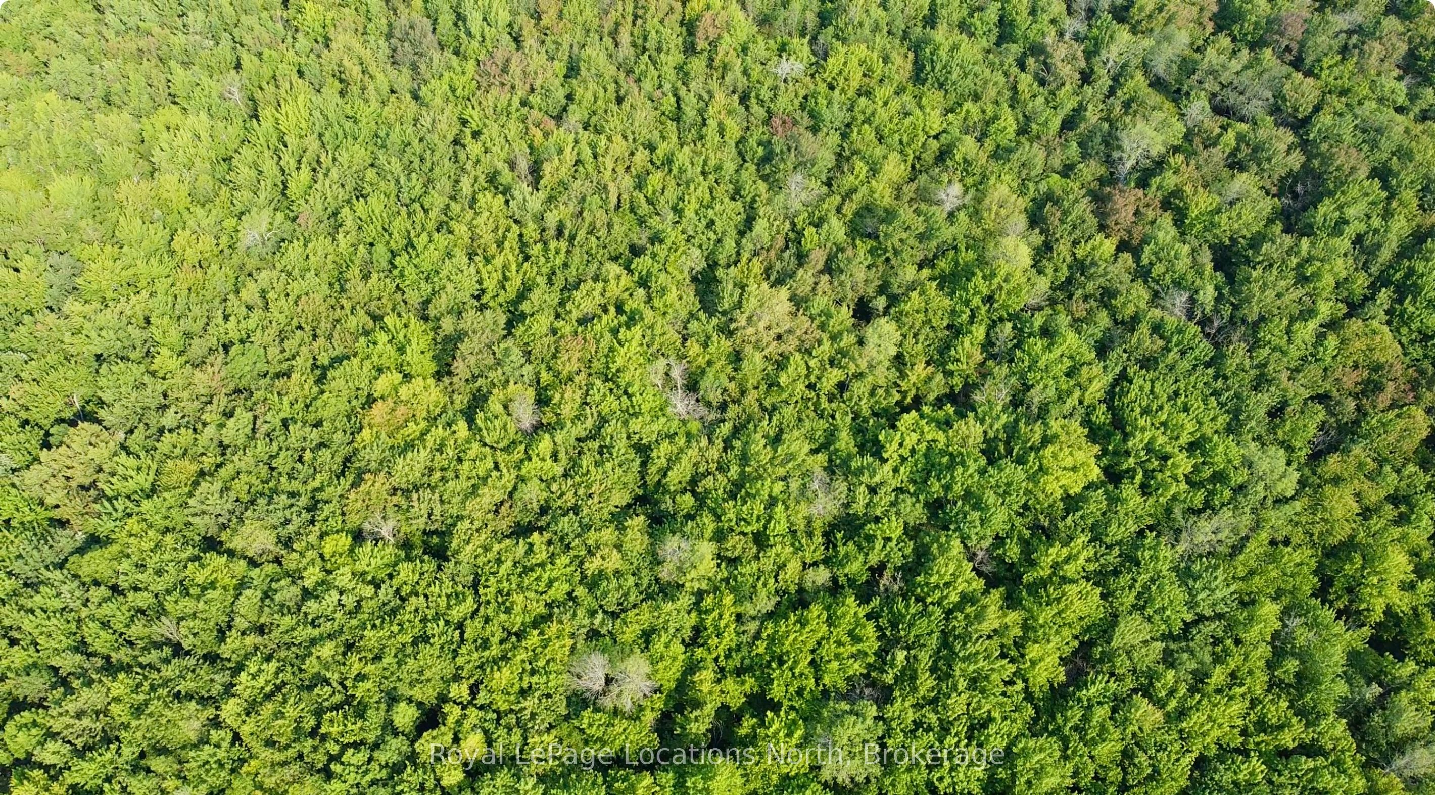 Lot 5 26 Highway Property Photo 5