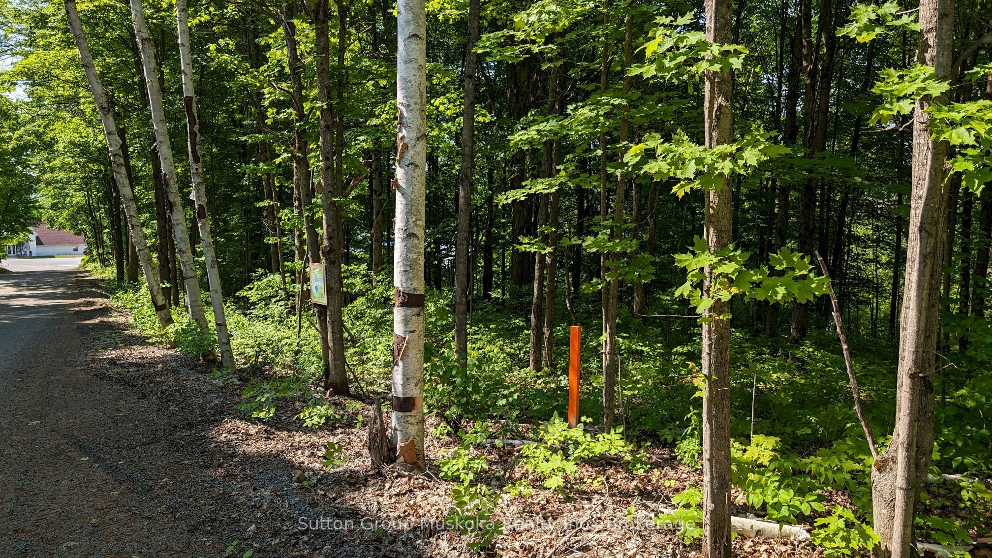 Lot 2 Tally-ho Winter Park Road Property Photo 3