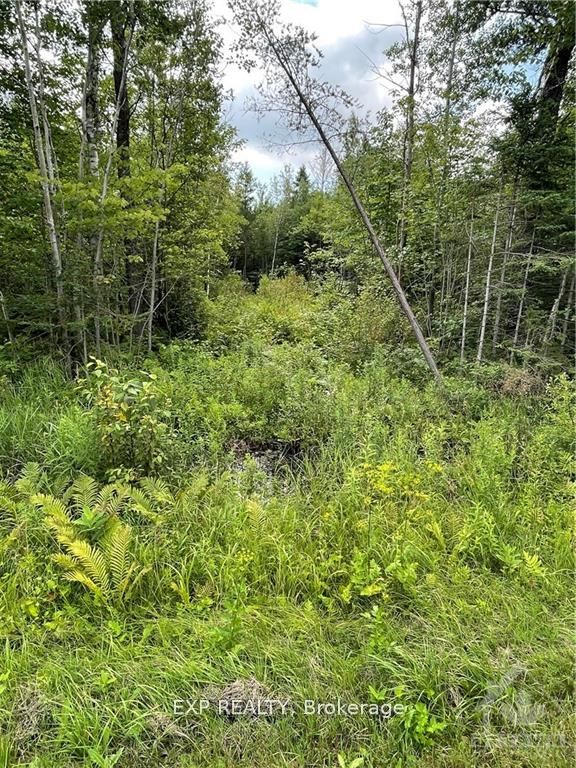00 A1 Concession Road 4 Road Property Photo