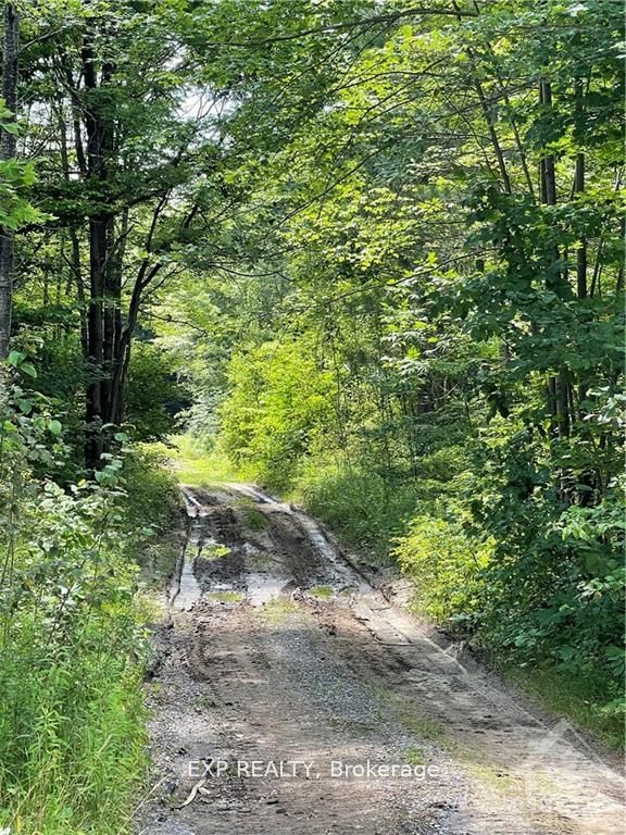 00 B Concession Road 4 Road Property Photo