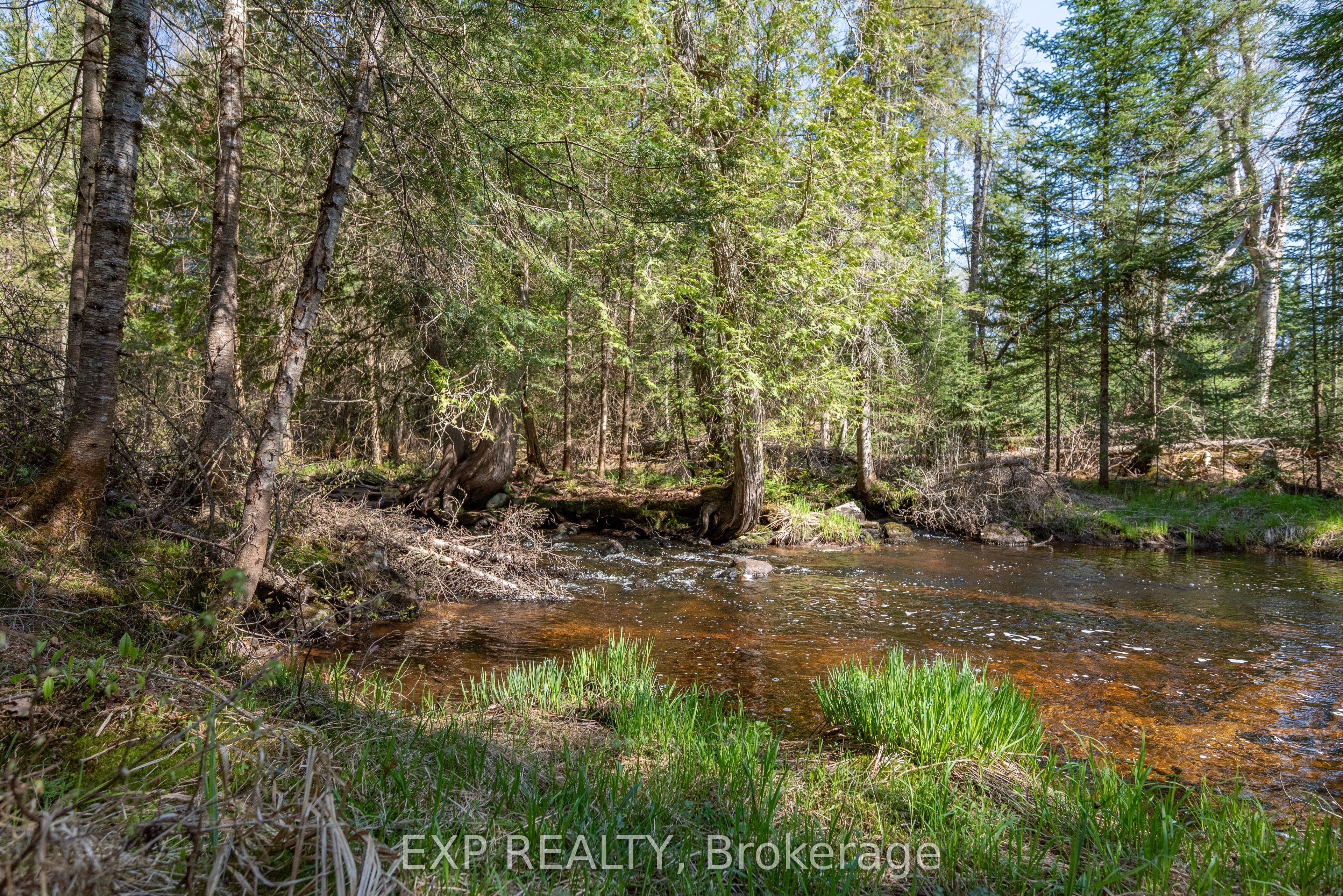 5490 Loop Road Property Photo 33