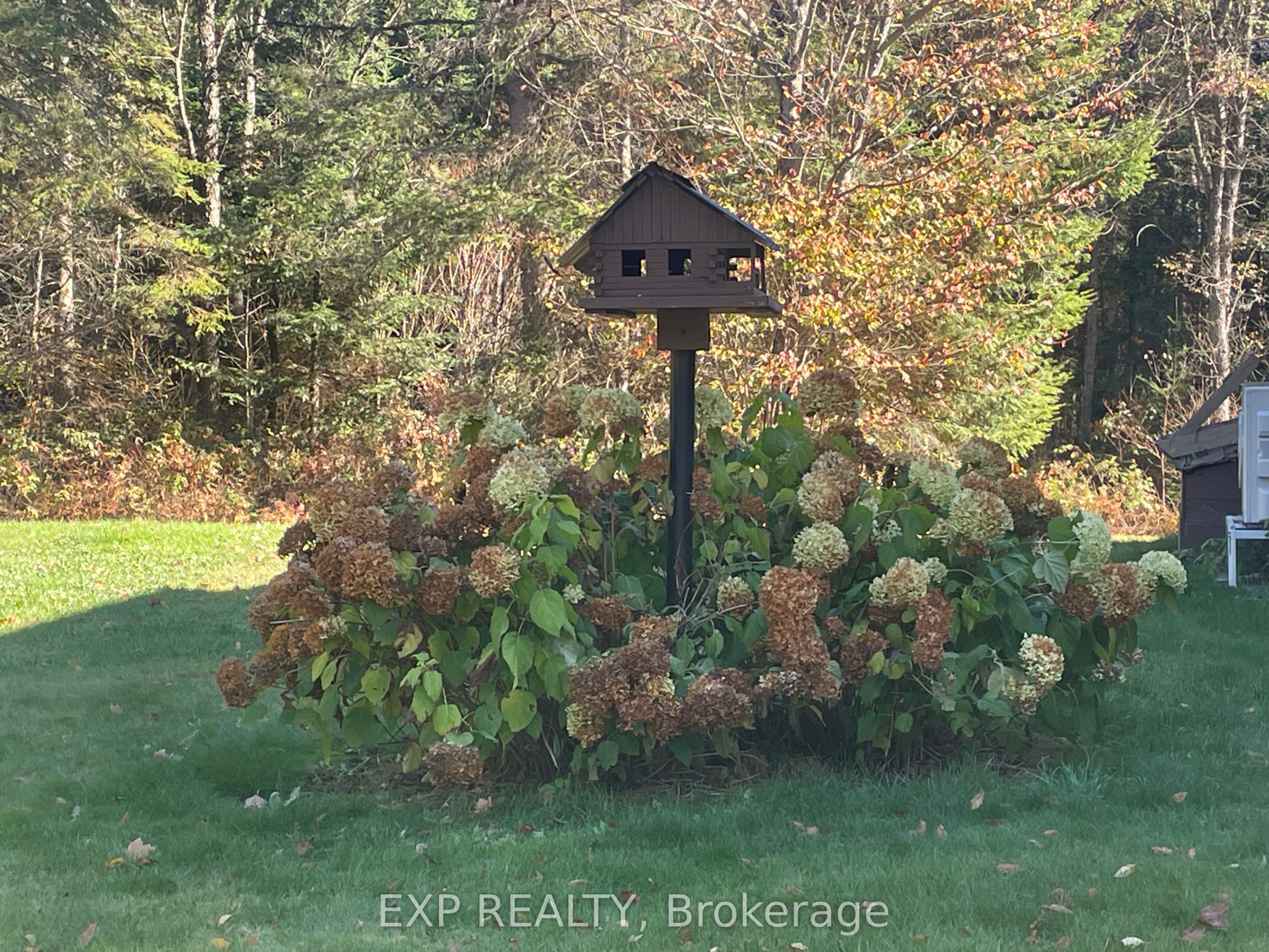 5490 Loop Road Property Photo 46
