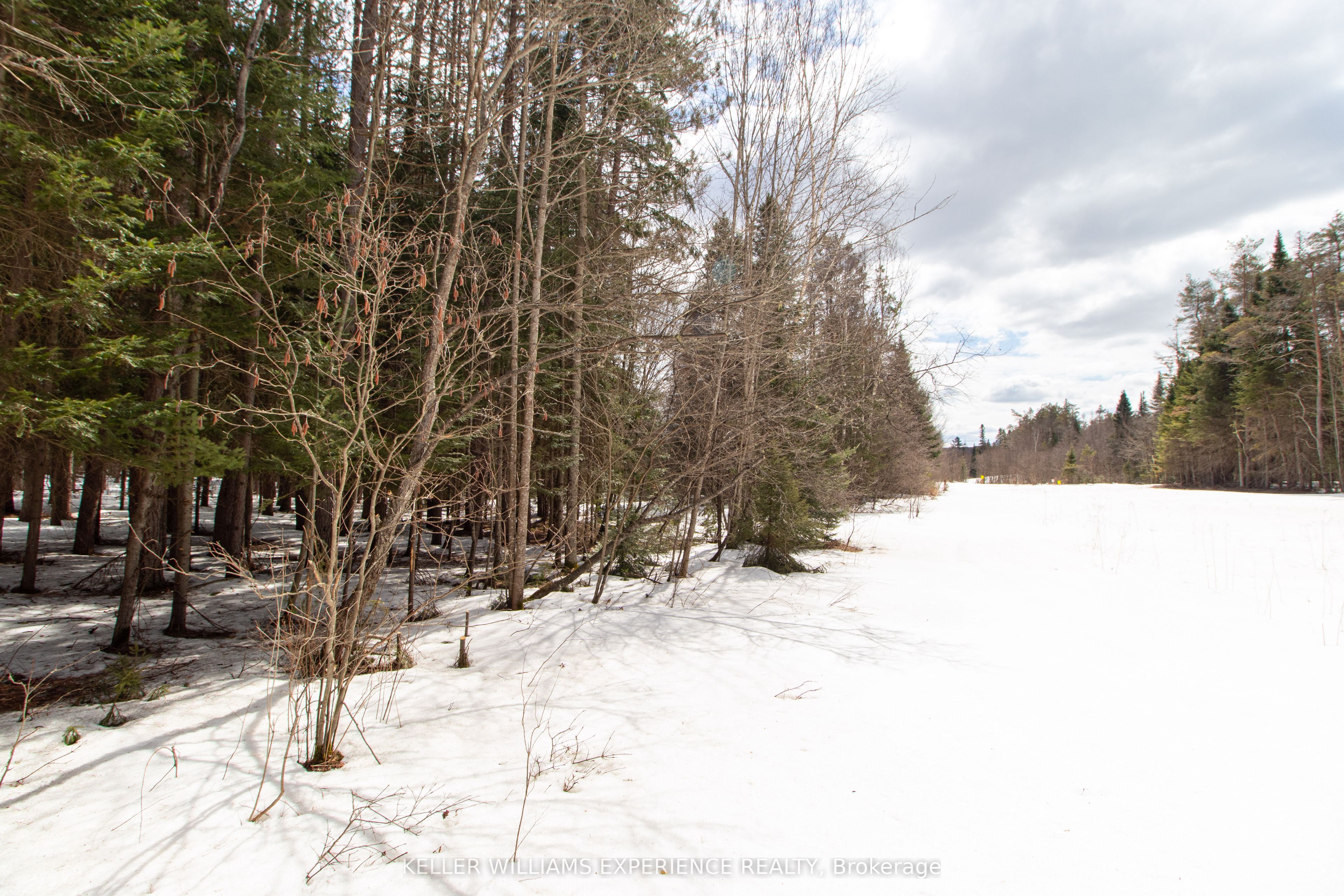 1318 Old North Rd Property Photo 8