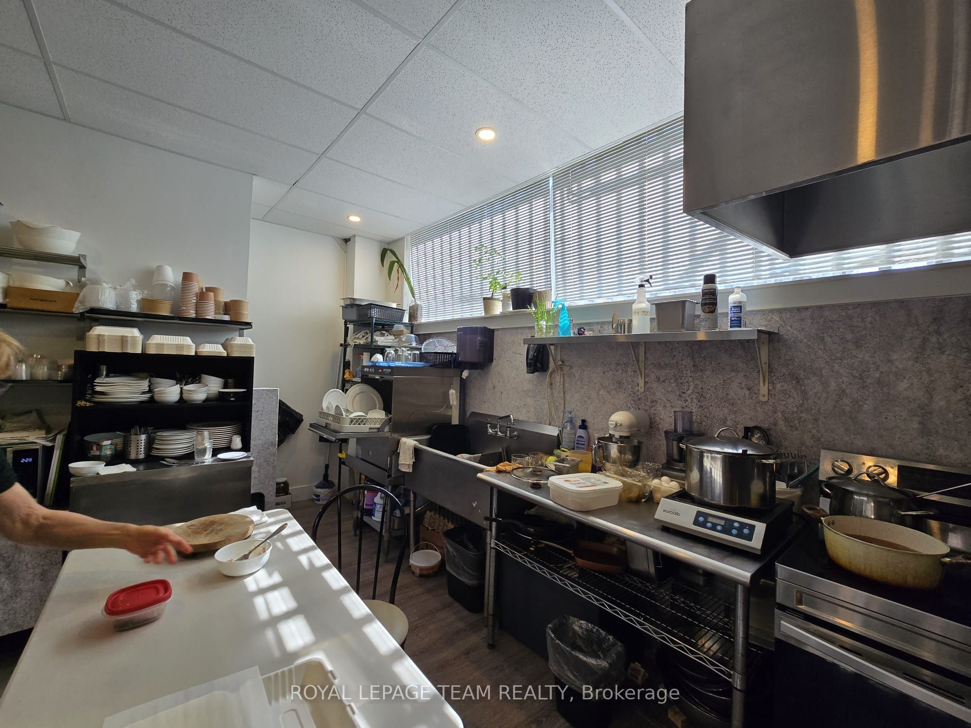 274 Elgin Street Property Photo 8