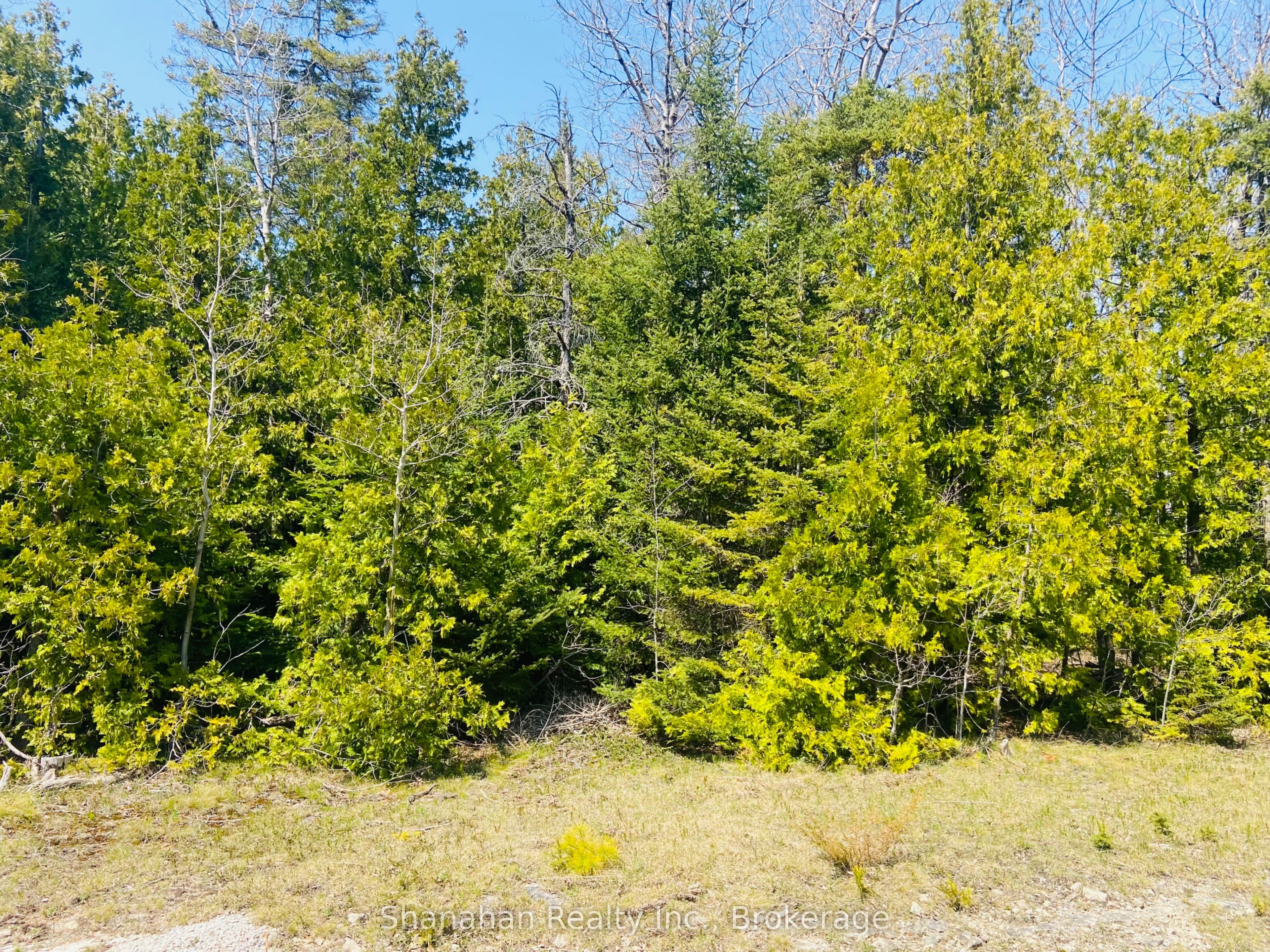 Lot 11 Norburn Road Property Photo 2