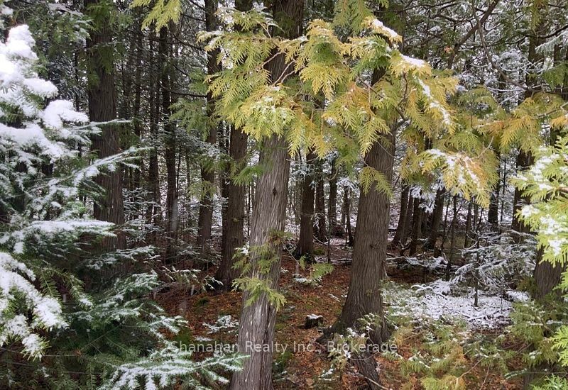Lot 11 Norburn Road Property Photo 4