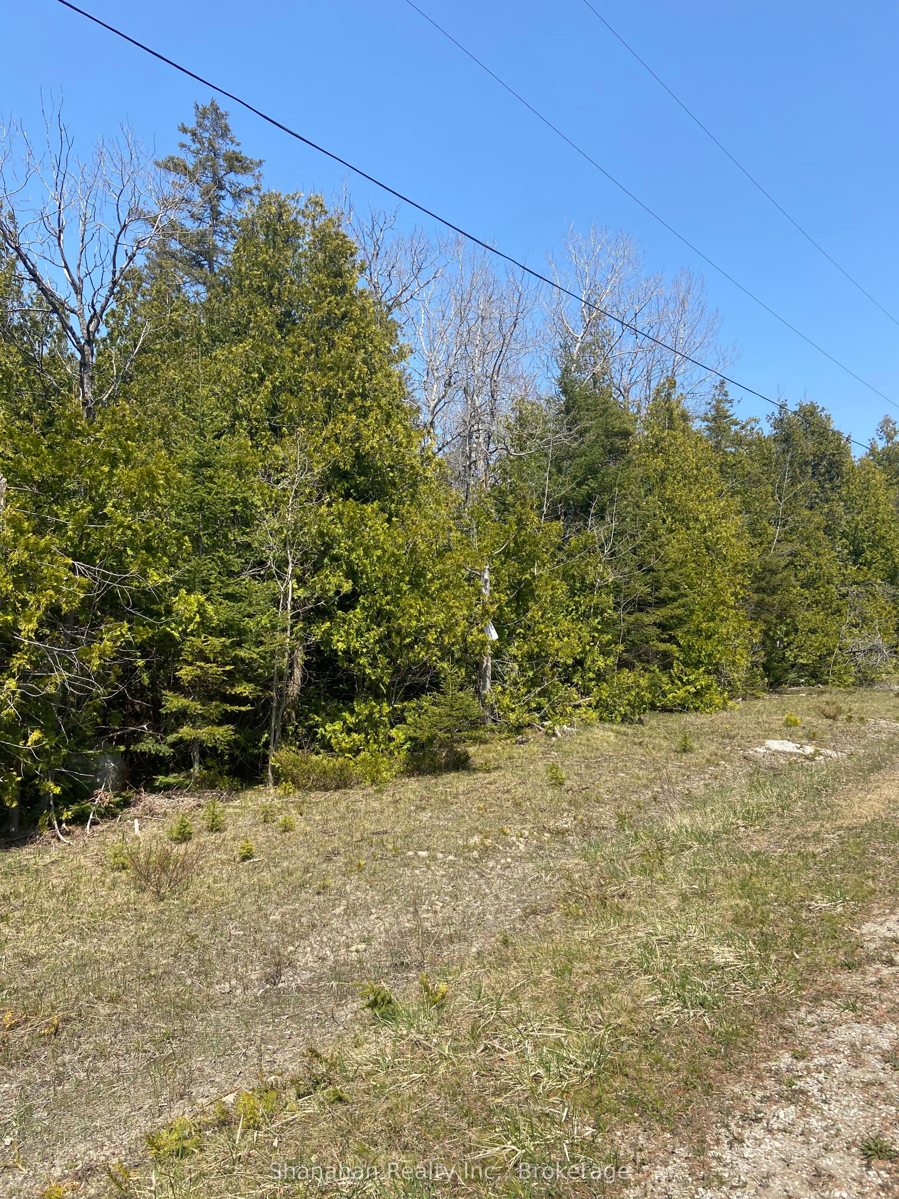 Lot 11 Norburn Road Property Photo 5