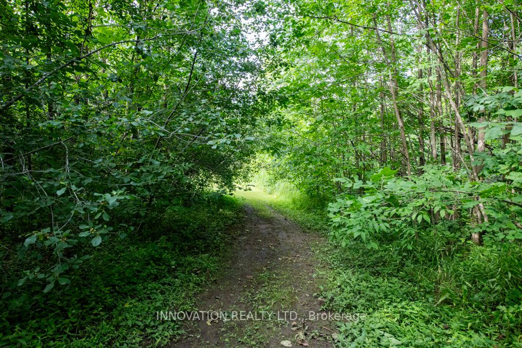 3315 County 21 Road Property Photo 39