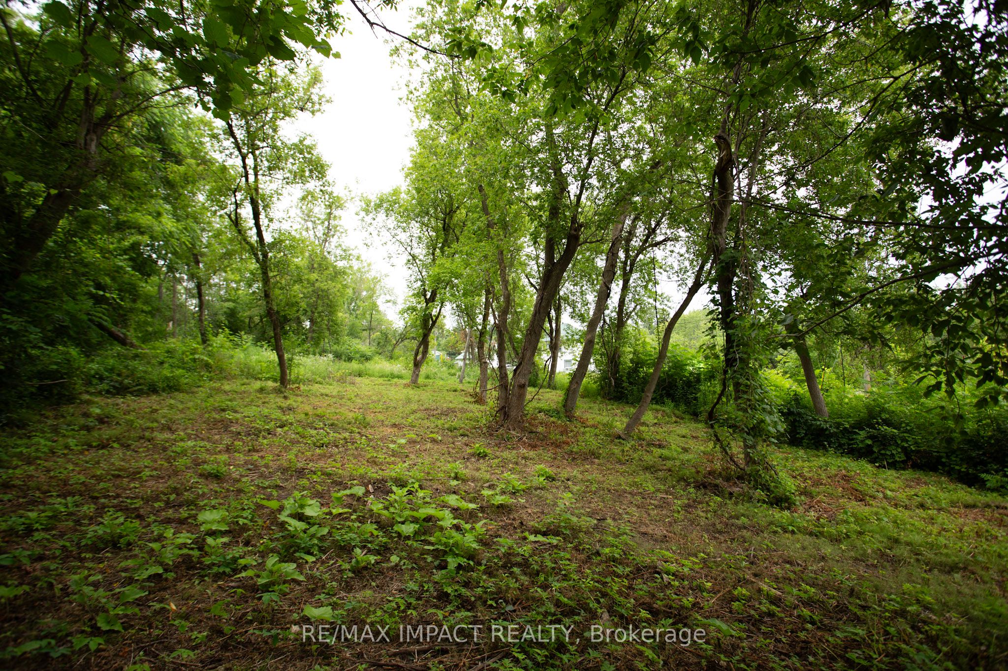 16216 Hwy 2 Property Photo