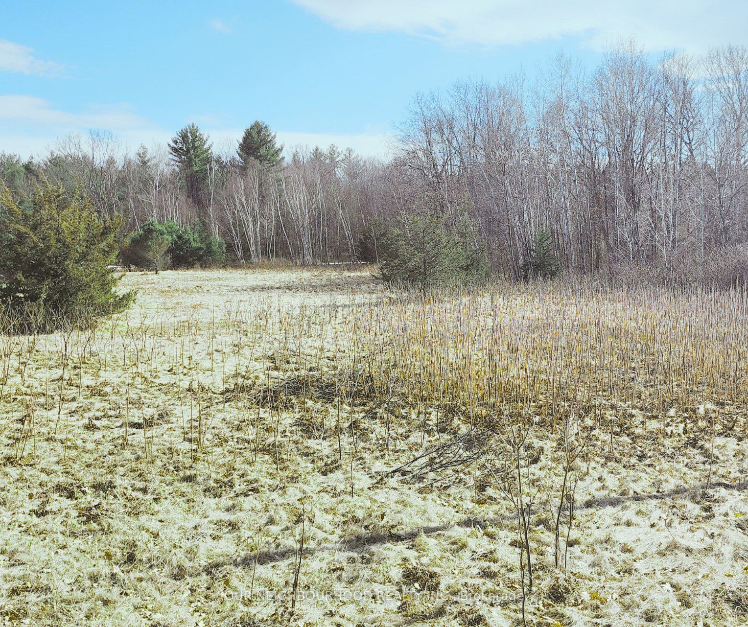 Lot 14 Trent River Road Property Photo
