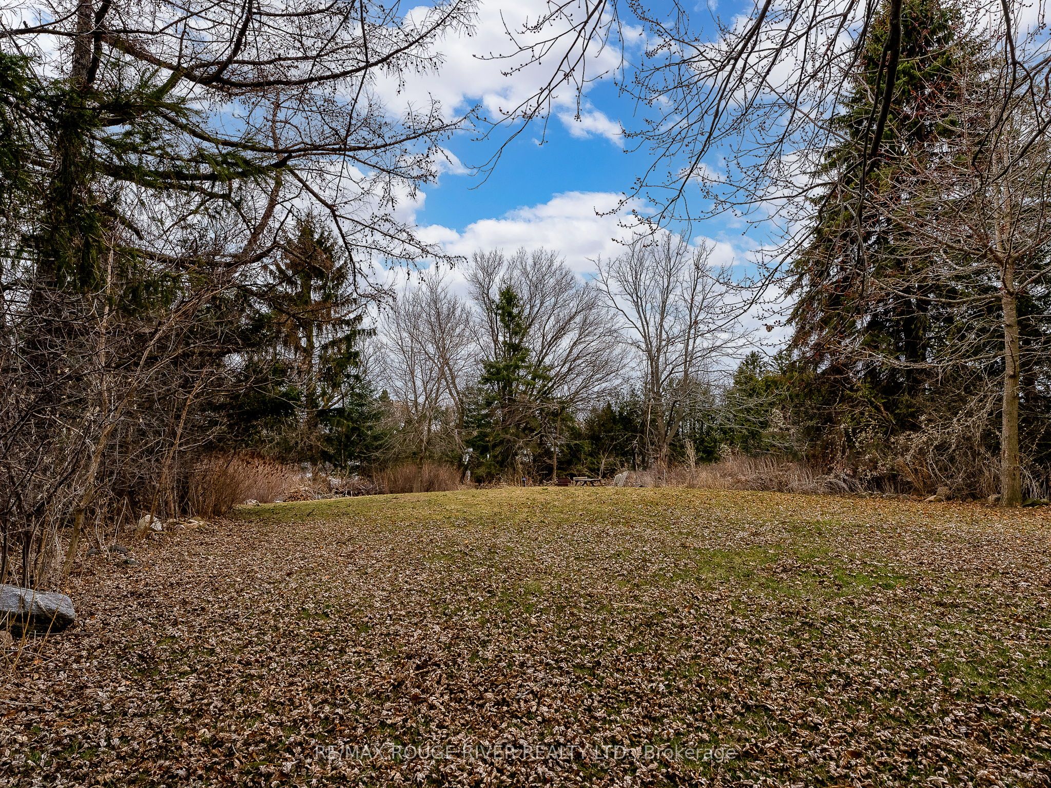 1017 County 31 Road Property Photo 50