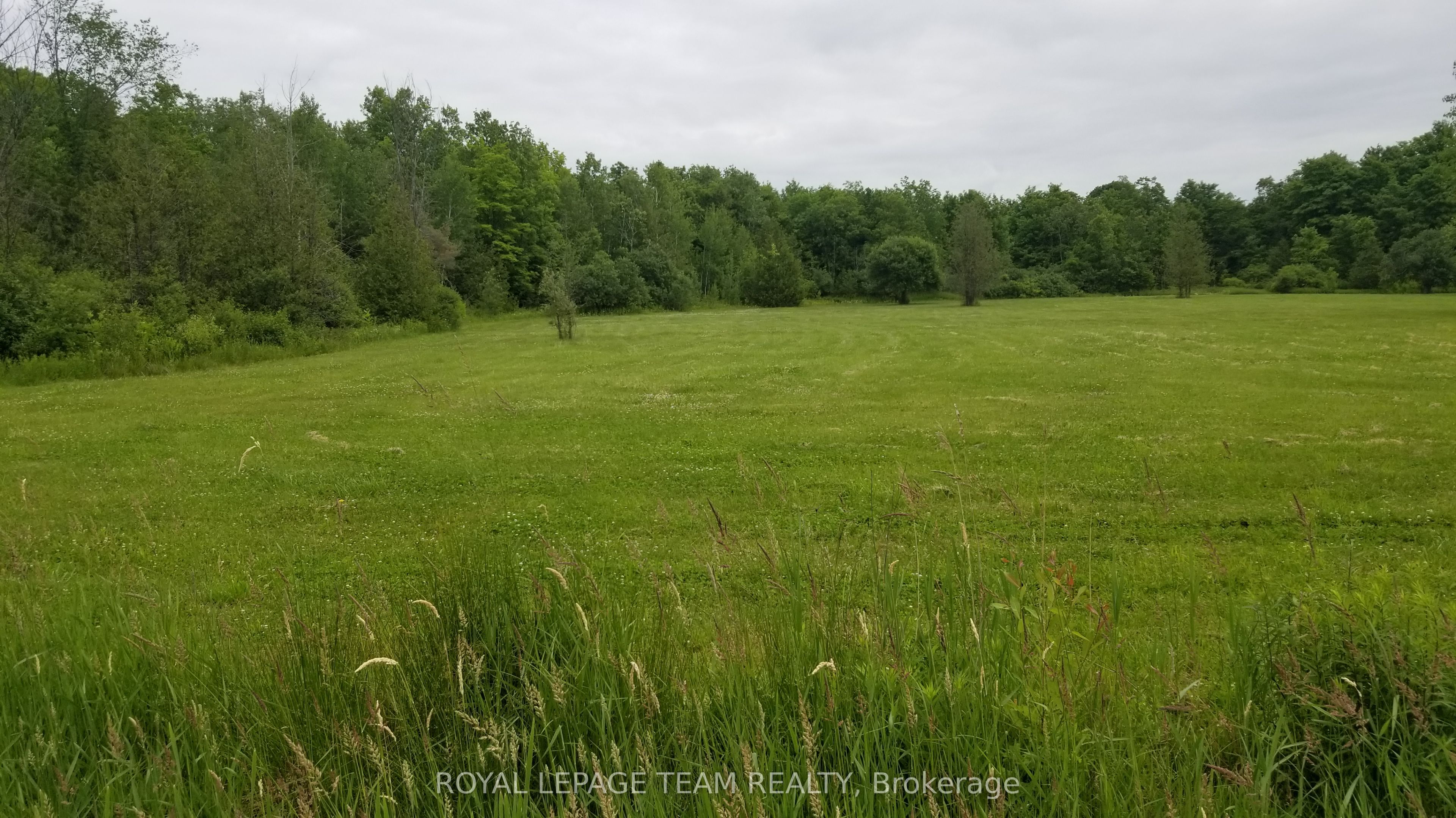 1621 8 Line Rd Property Photo 1