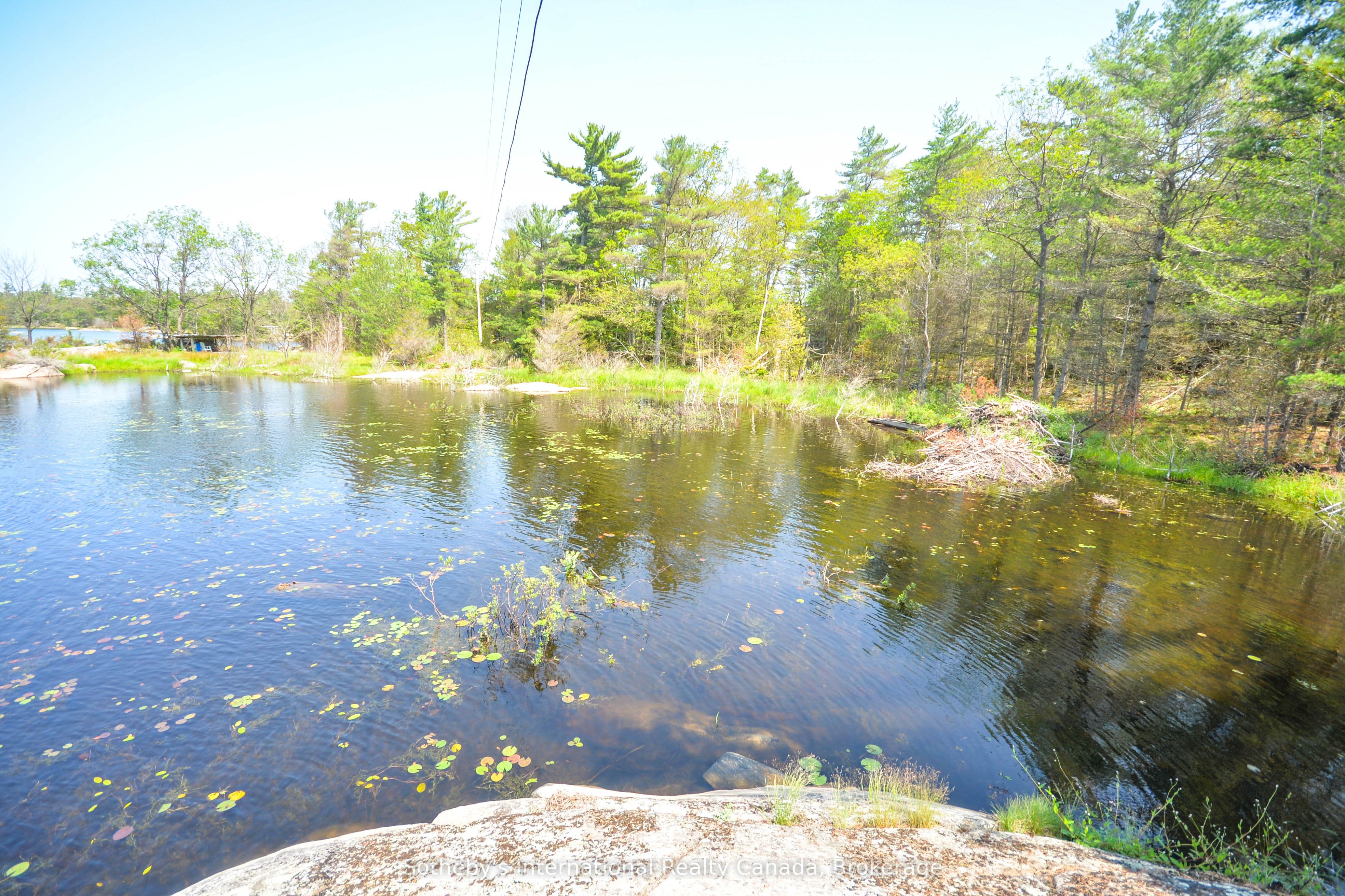 4648 Is 2190 Georgian Bay Property Photo 5