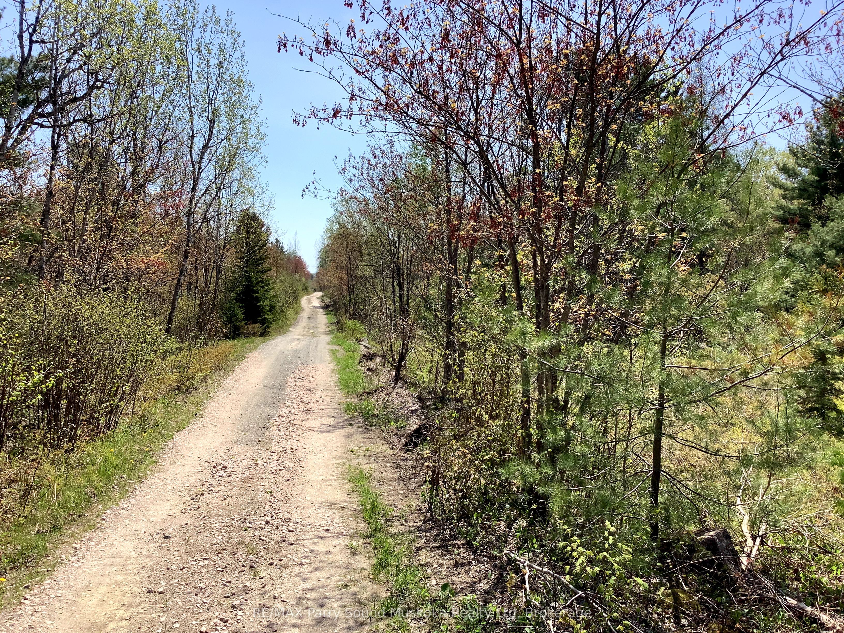 0000 Gauthier Station Road Property Photo