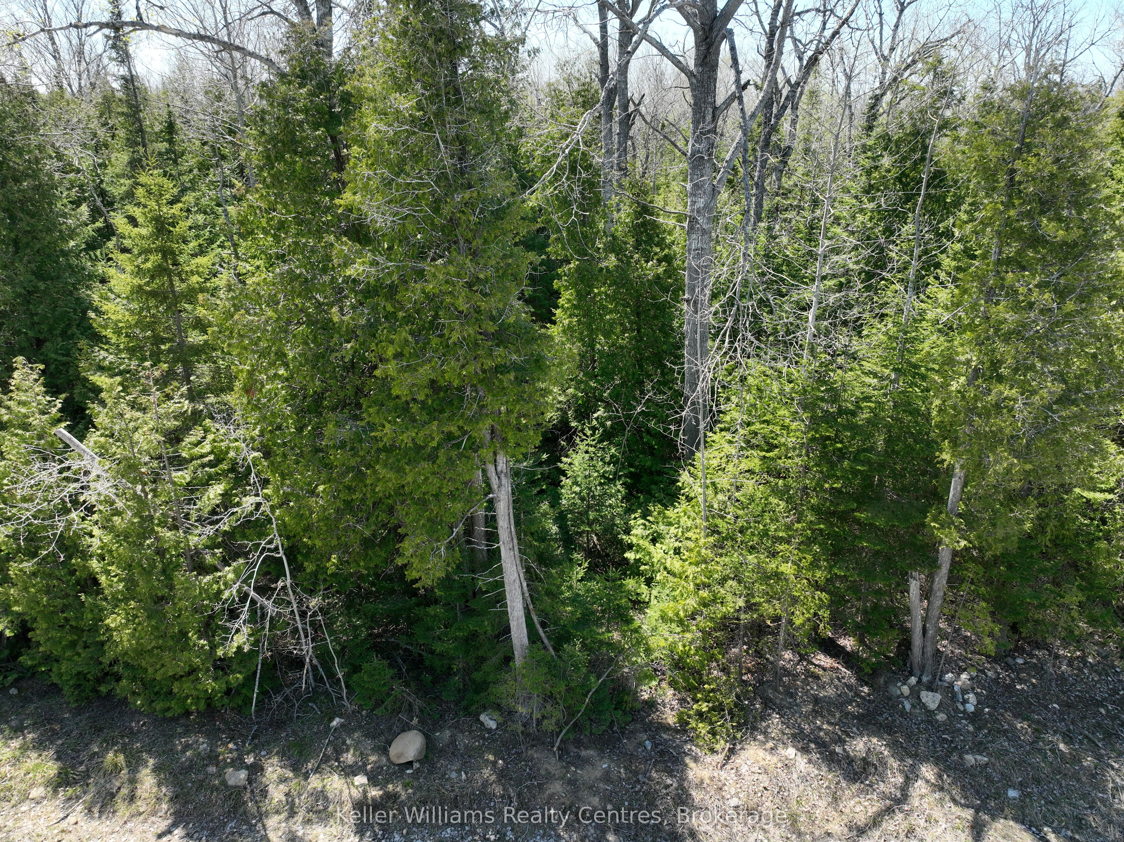 Lot 10 Trillium Crossing Property Photo 4