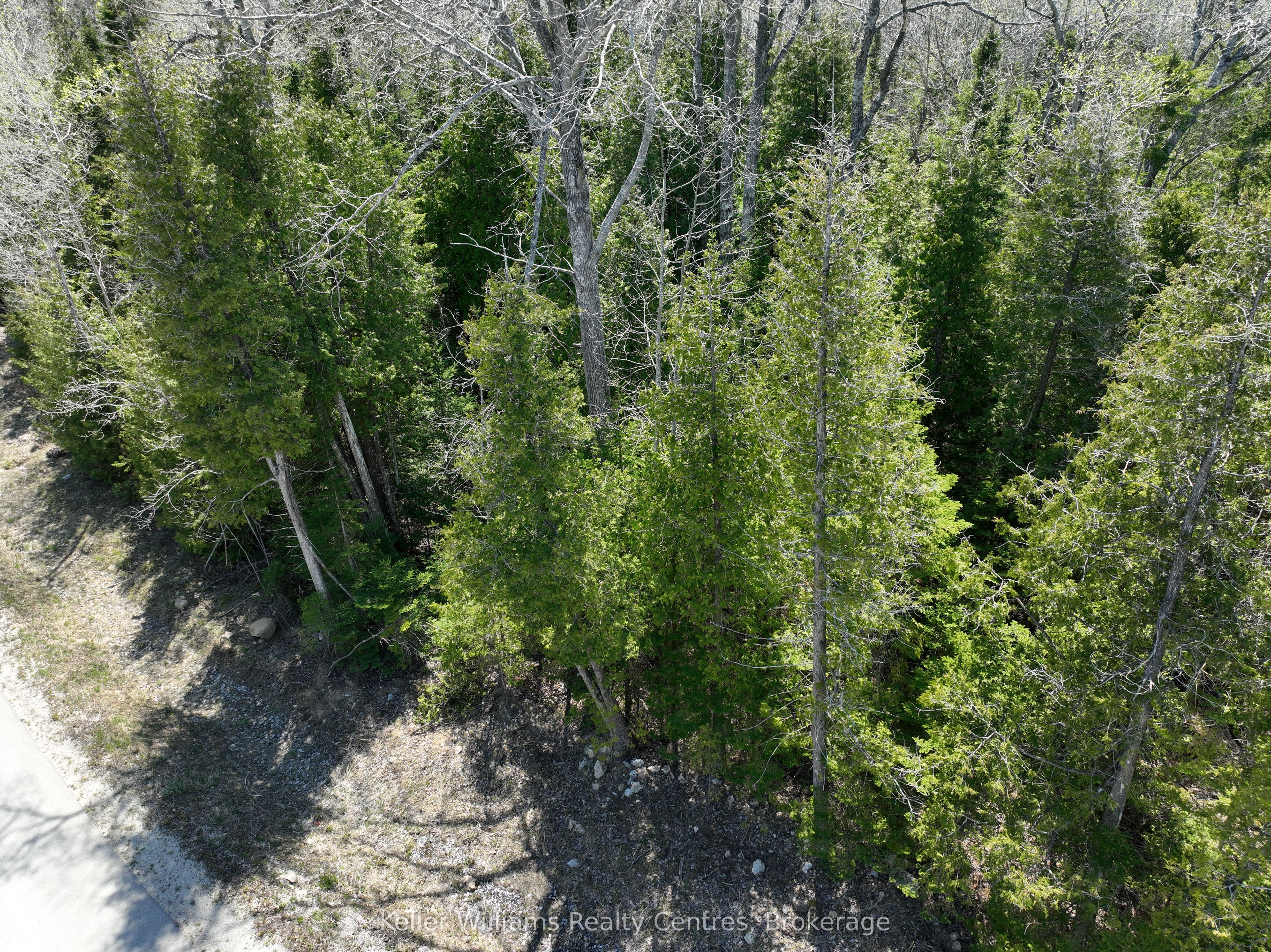 Lot 10 Trillium Crossing Property Photo 5