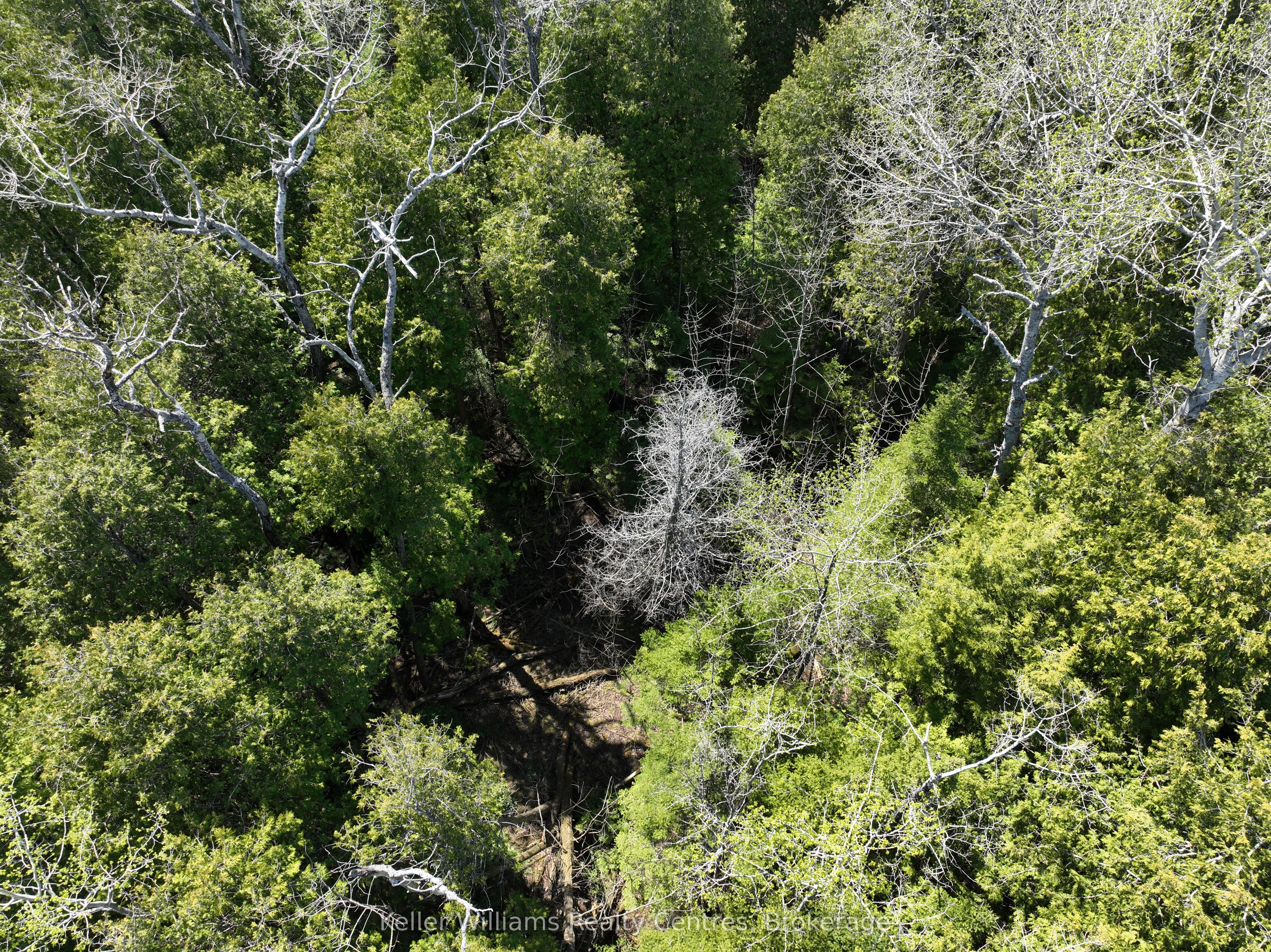 Lot 10 Trillium Crossing Property Photo 7