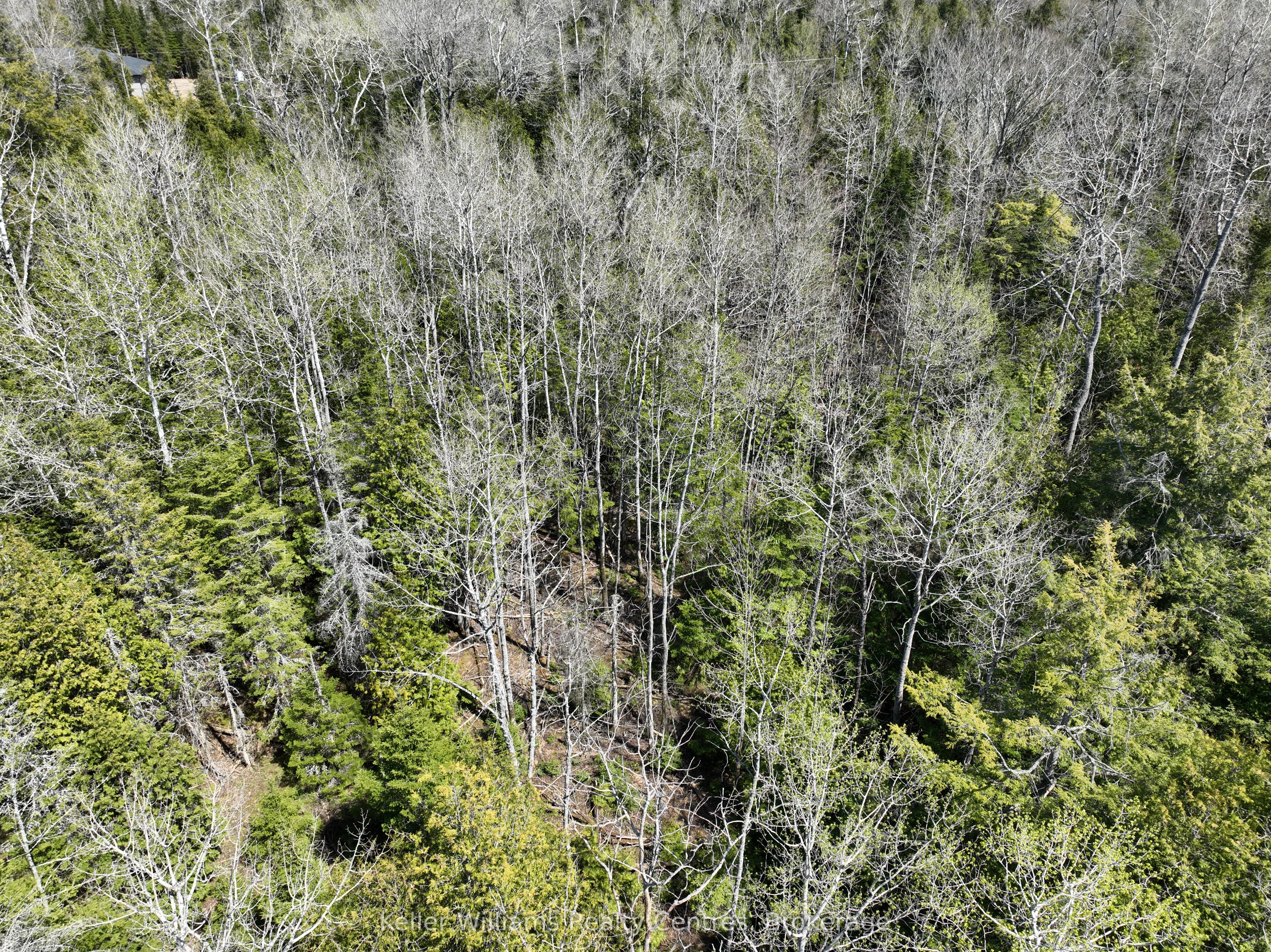 Lot 10 Trillium Crossing Property Photo 8