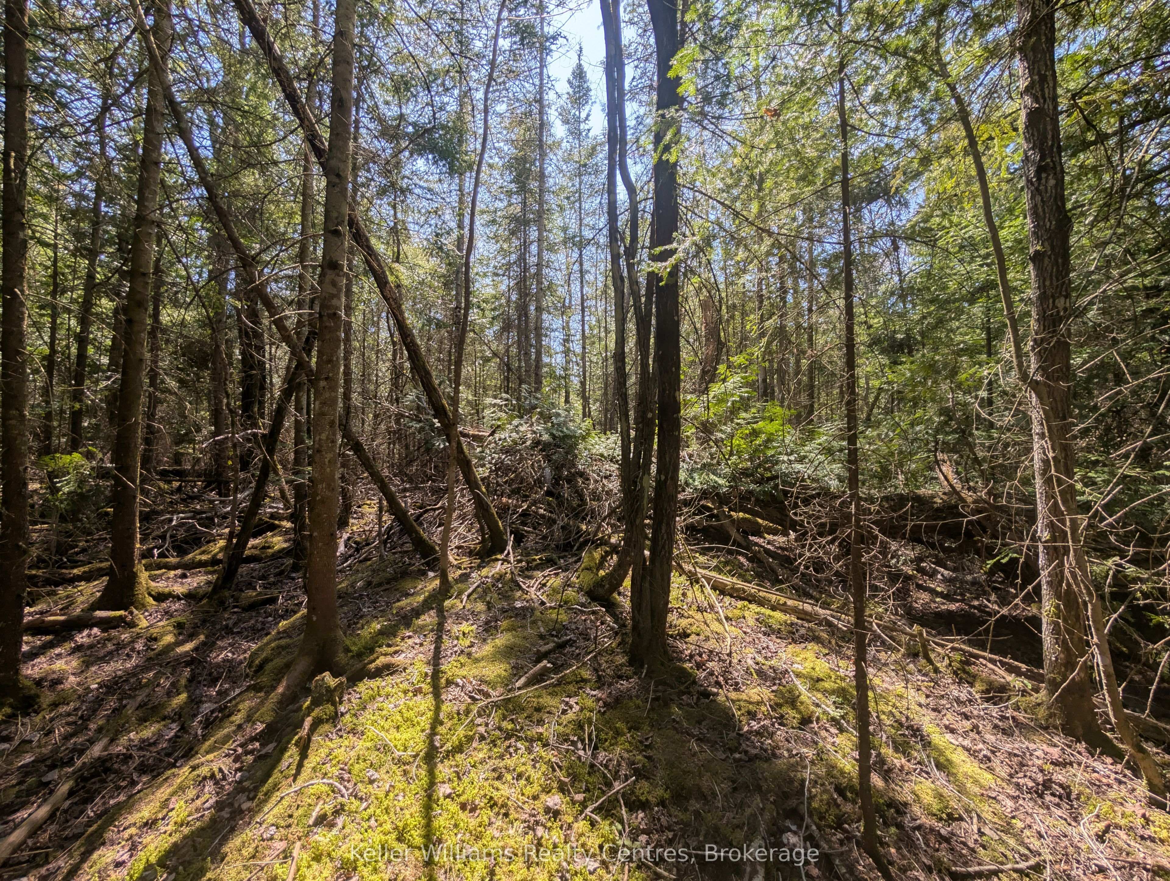 Lot 10 Trillium Crossing Property Photo 9