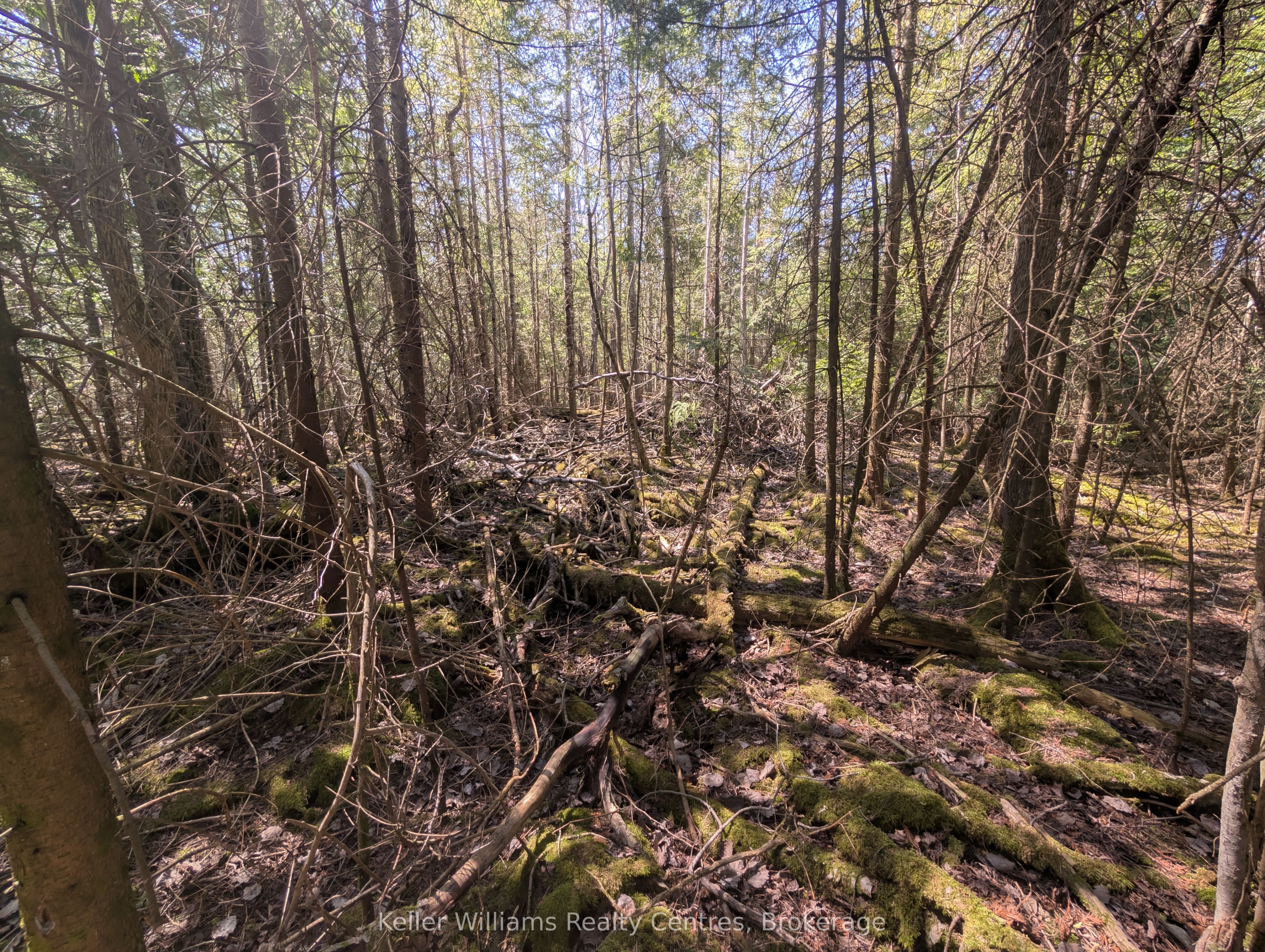 Lot 10 Trillium Crossing Property Photo 10