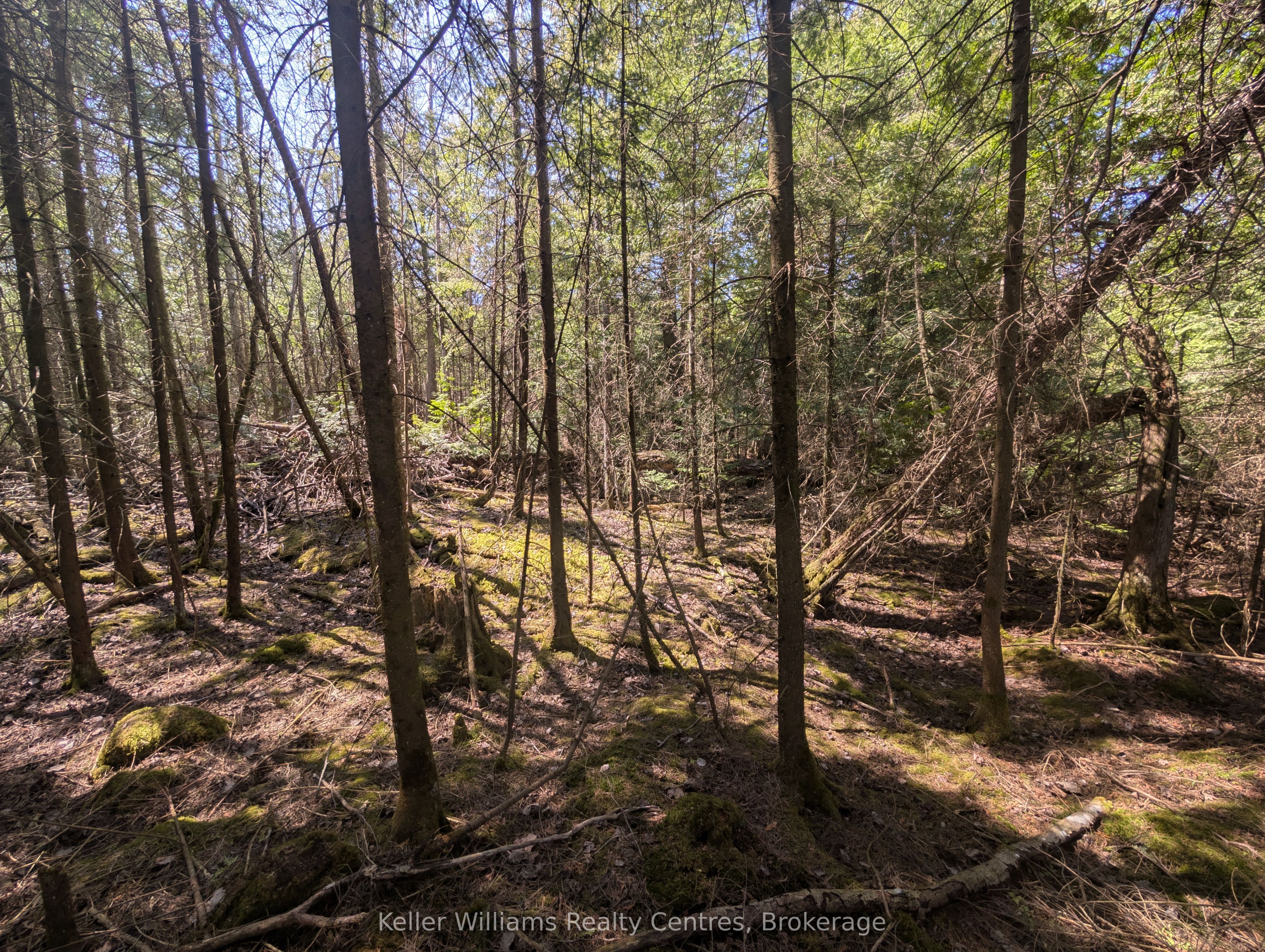 Lot 10 Trillium Crossing Property Photo 12