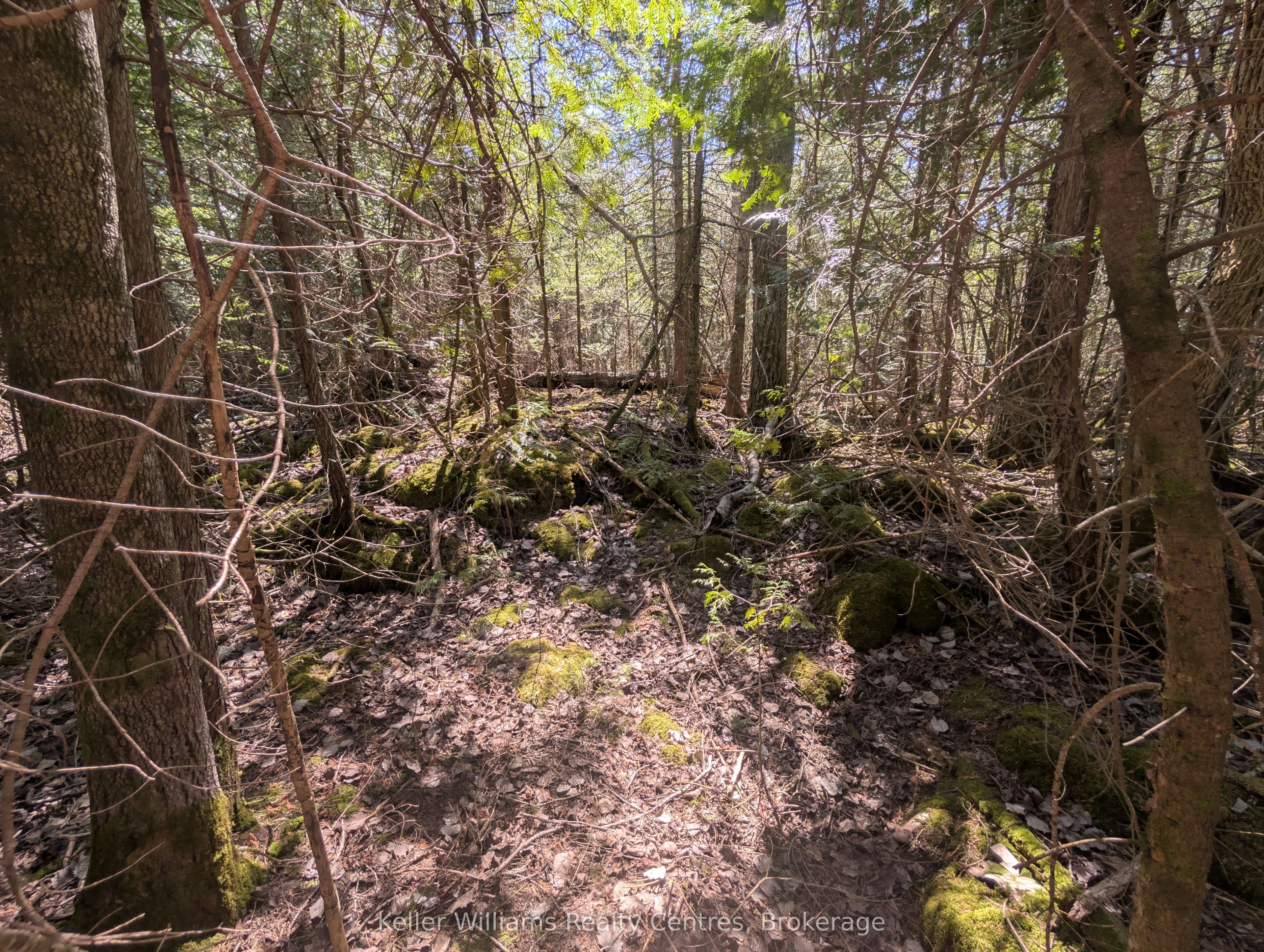 Lot 10 Trillium Crossing Property Photo 13