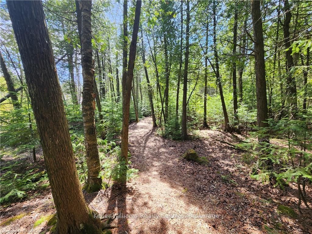 Lot 10 Trillium Crossing Property Photo 25