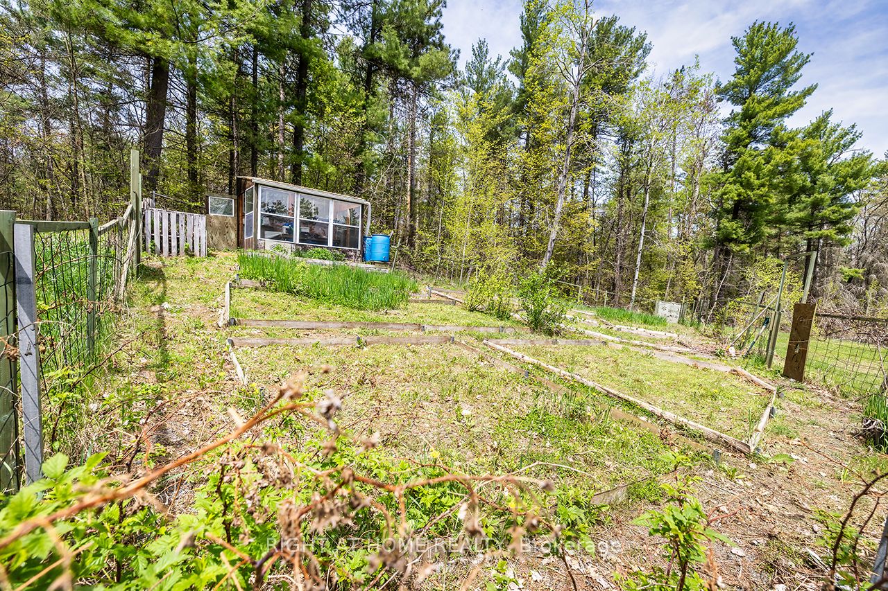 414 Pratt Road Property Photo 37