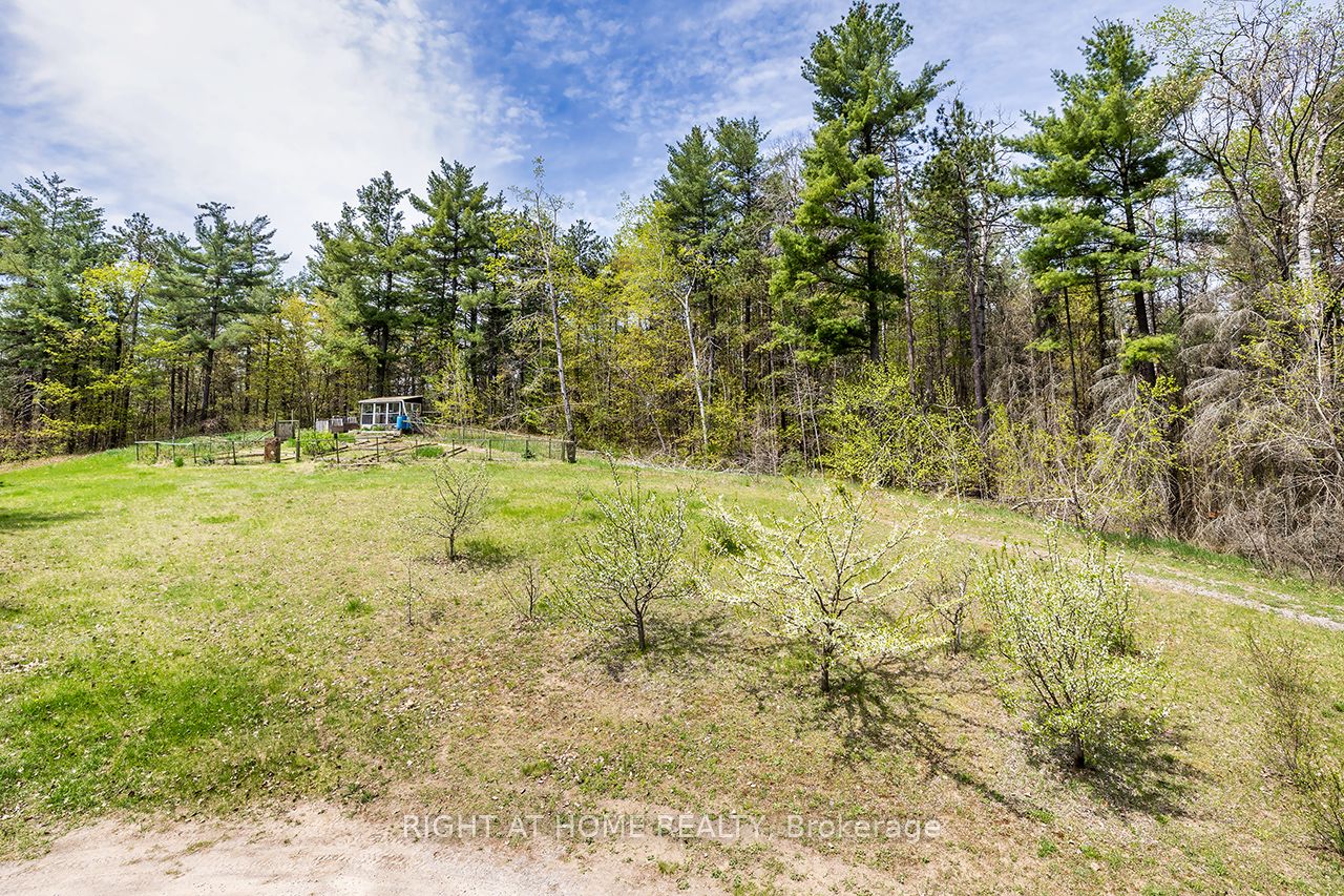 414 Pratt Road Property Photo 38