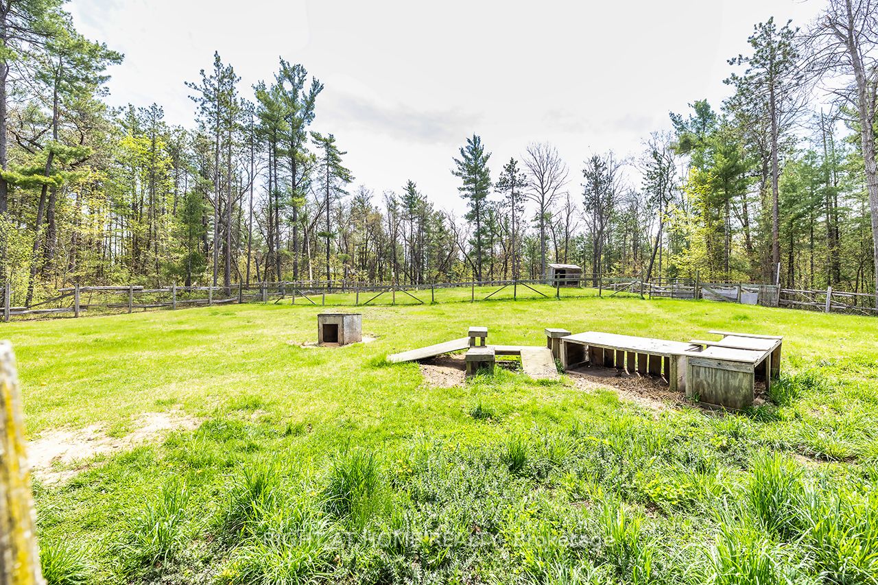 414 Pratt Road Property Photo 41