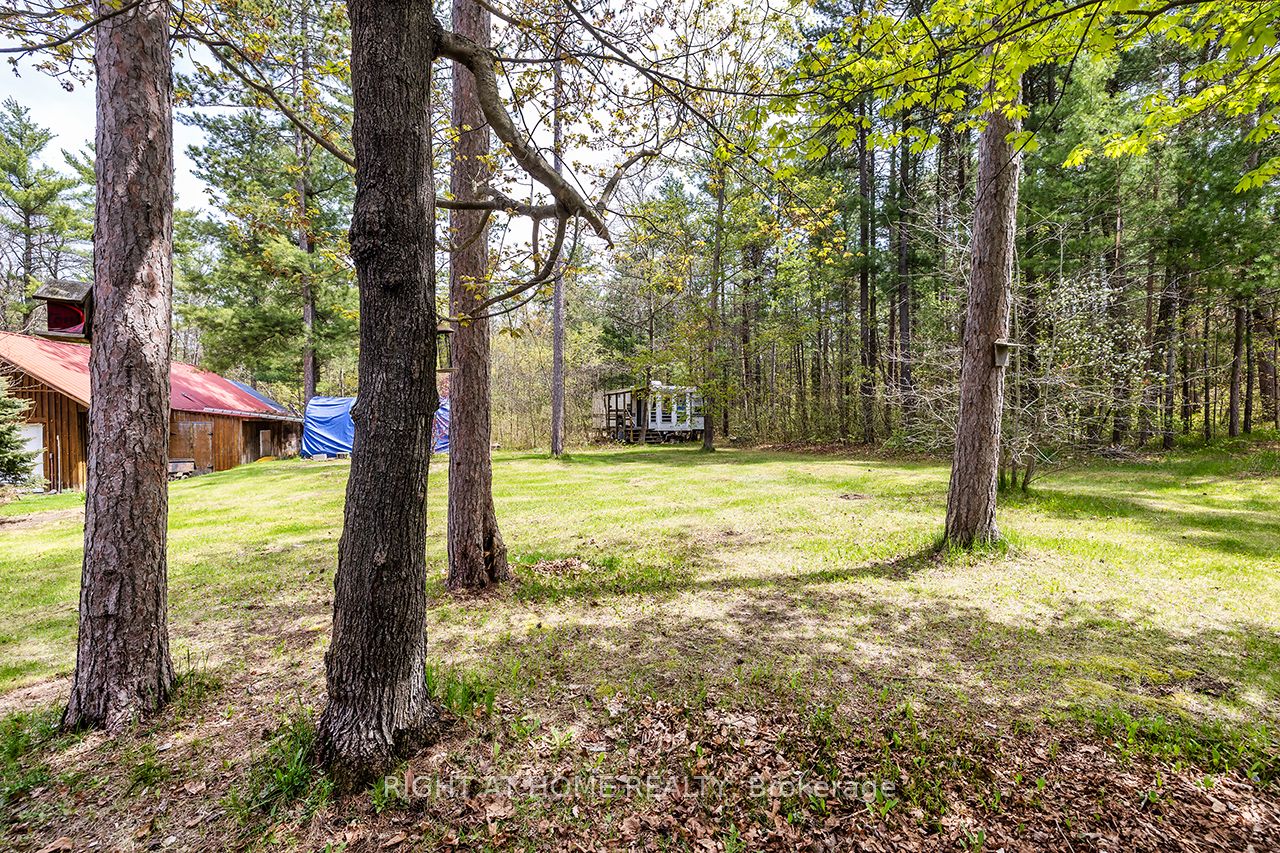 414 Pratt Road Property Photo 42