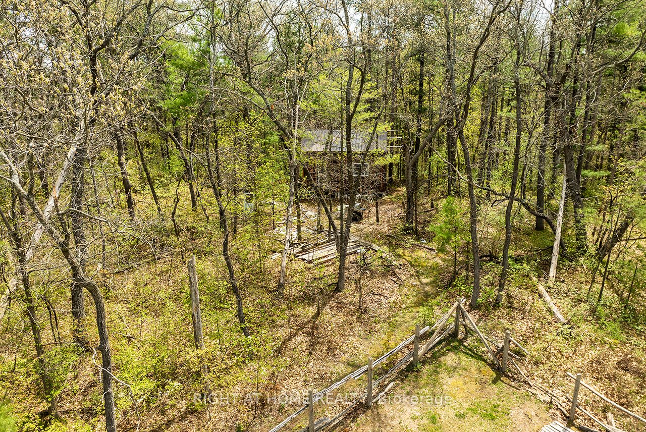 414 Pratt Road Property Photo 45