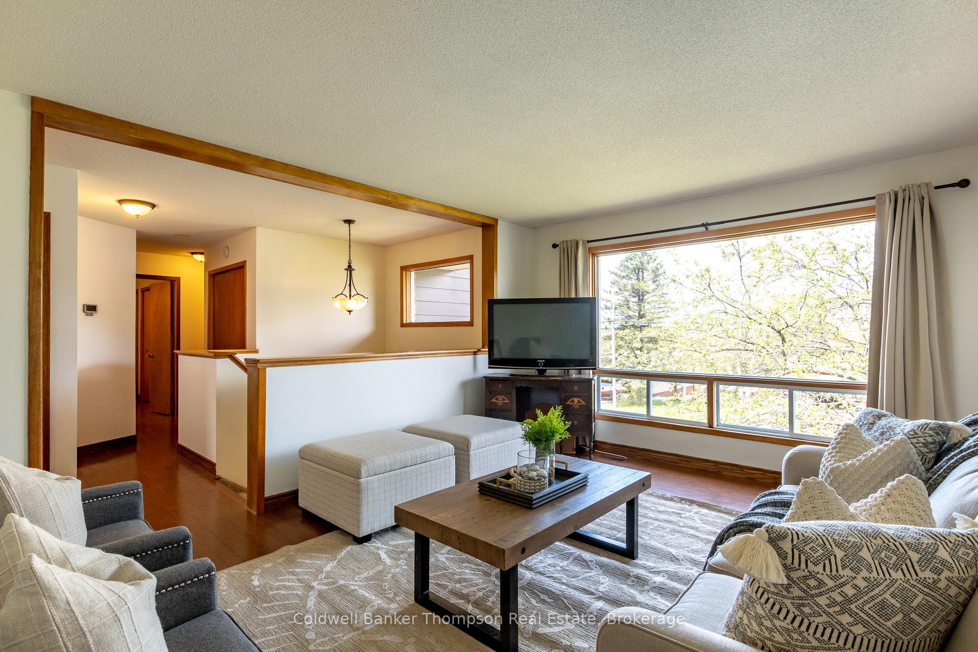 20 Southdale Drive Property Photo 6