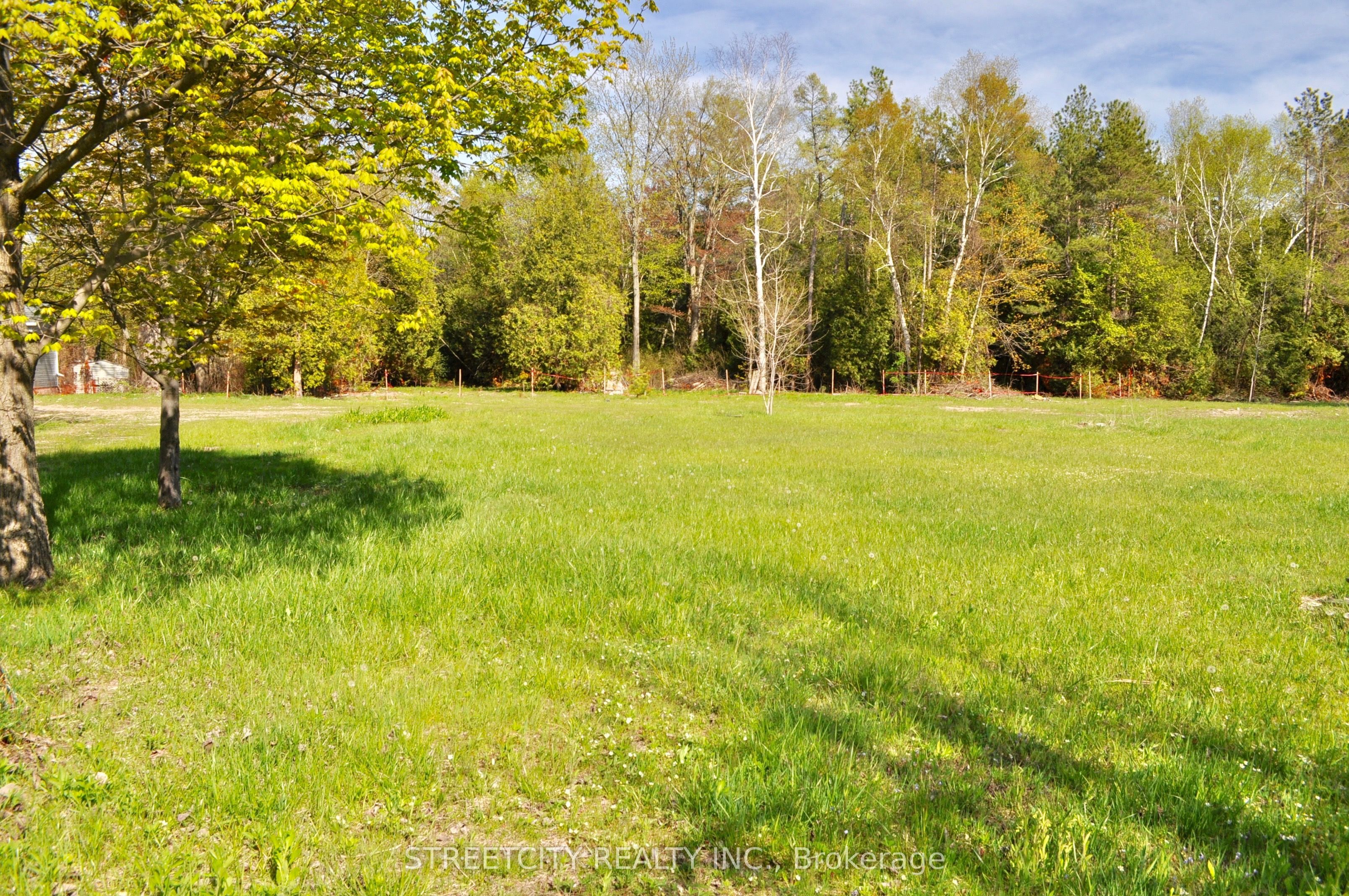 Con 19 Property Photo 6