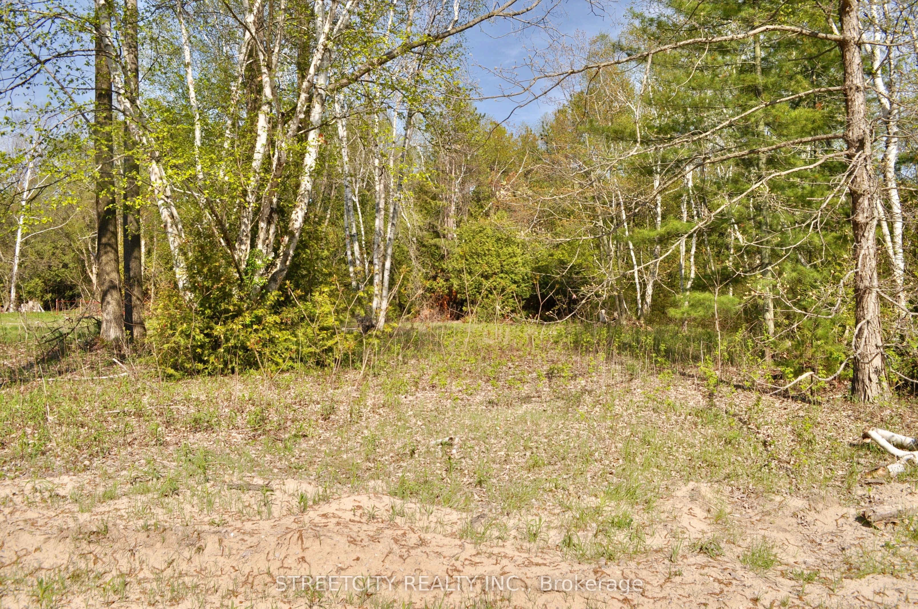 Con 19 Property Photo 6