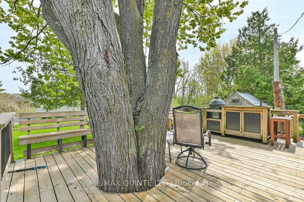 12 Fourth Avenue Property Photo 41
