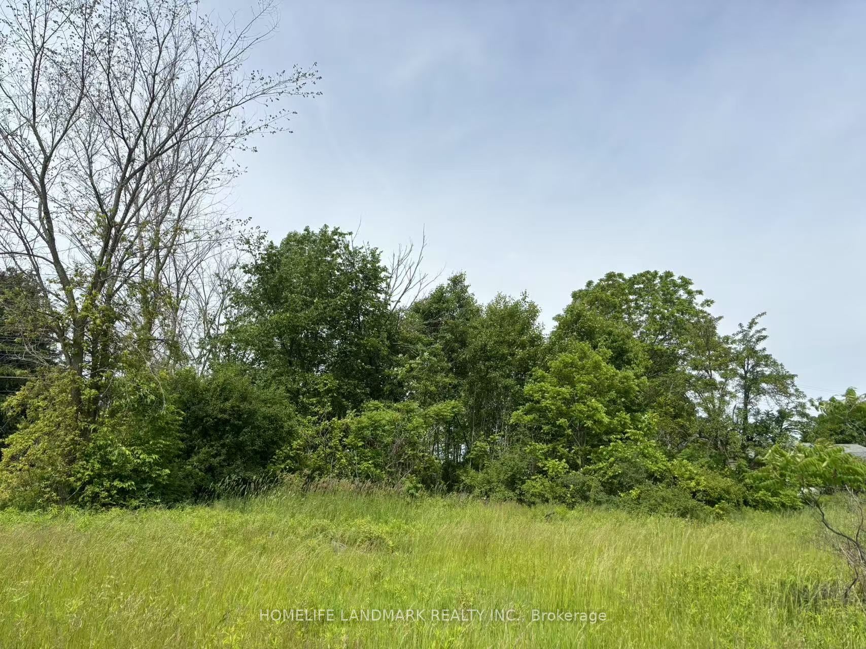1146 Blueline Rd Property Photo 2