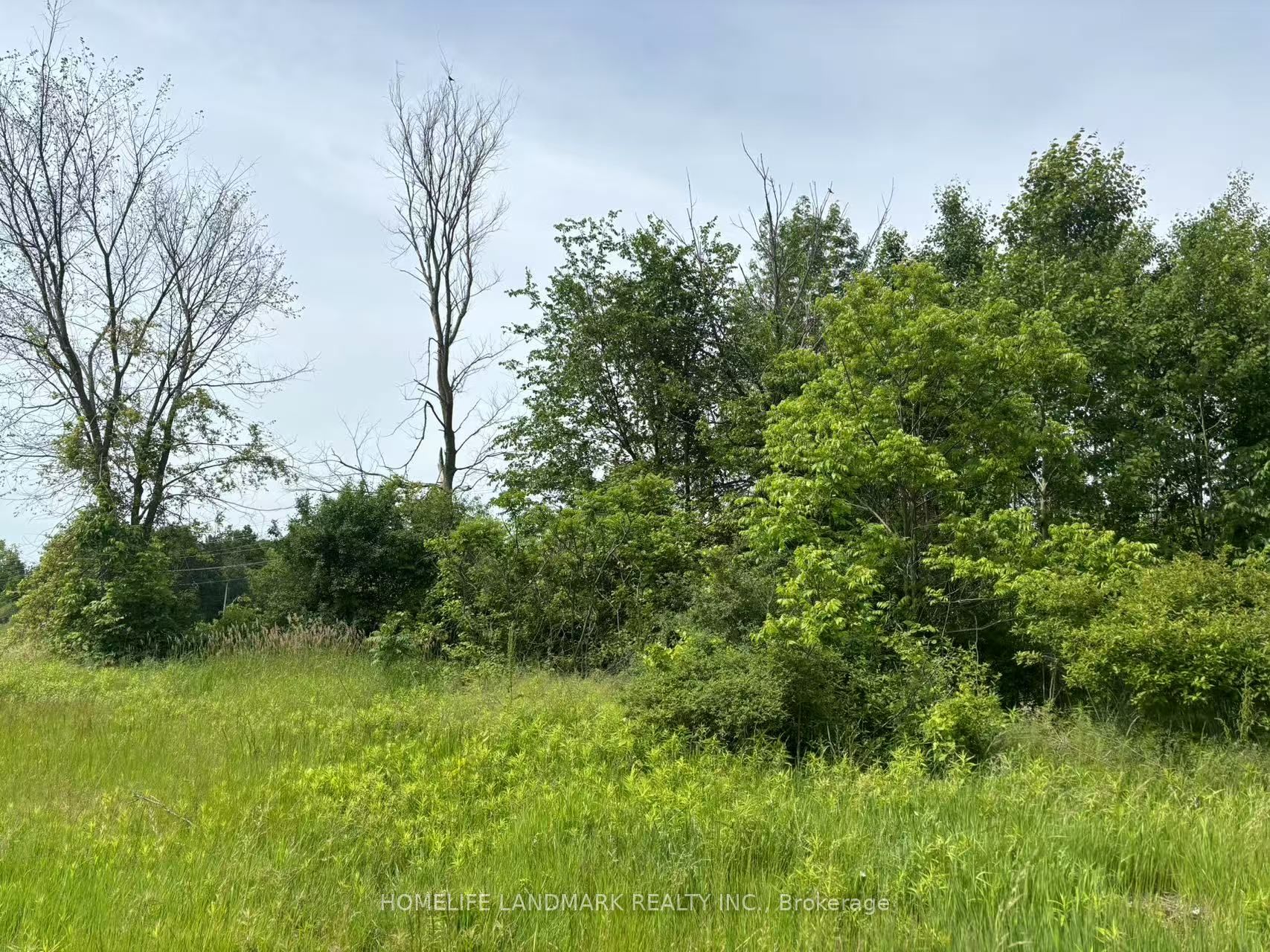 1146 Blueline Rd Property Photo 3