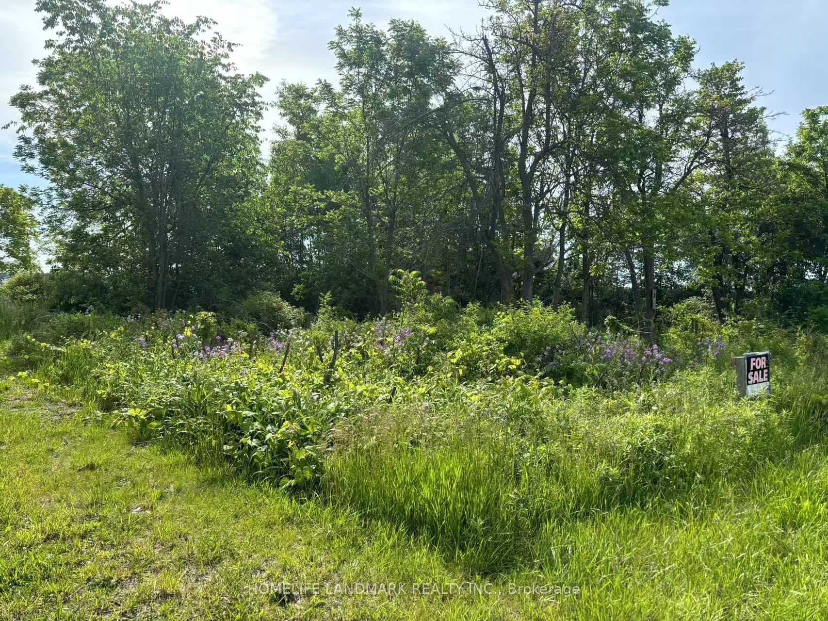 1146 Blueline Rd Property Photo 4