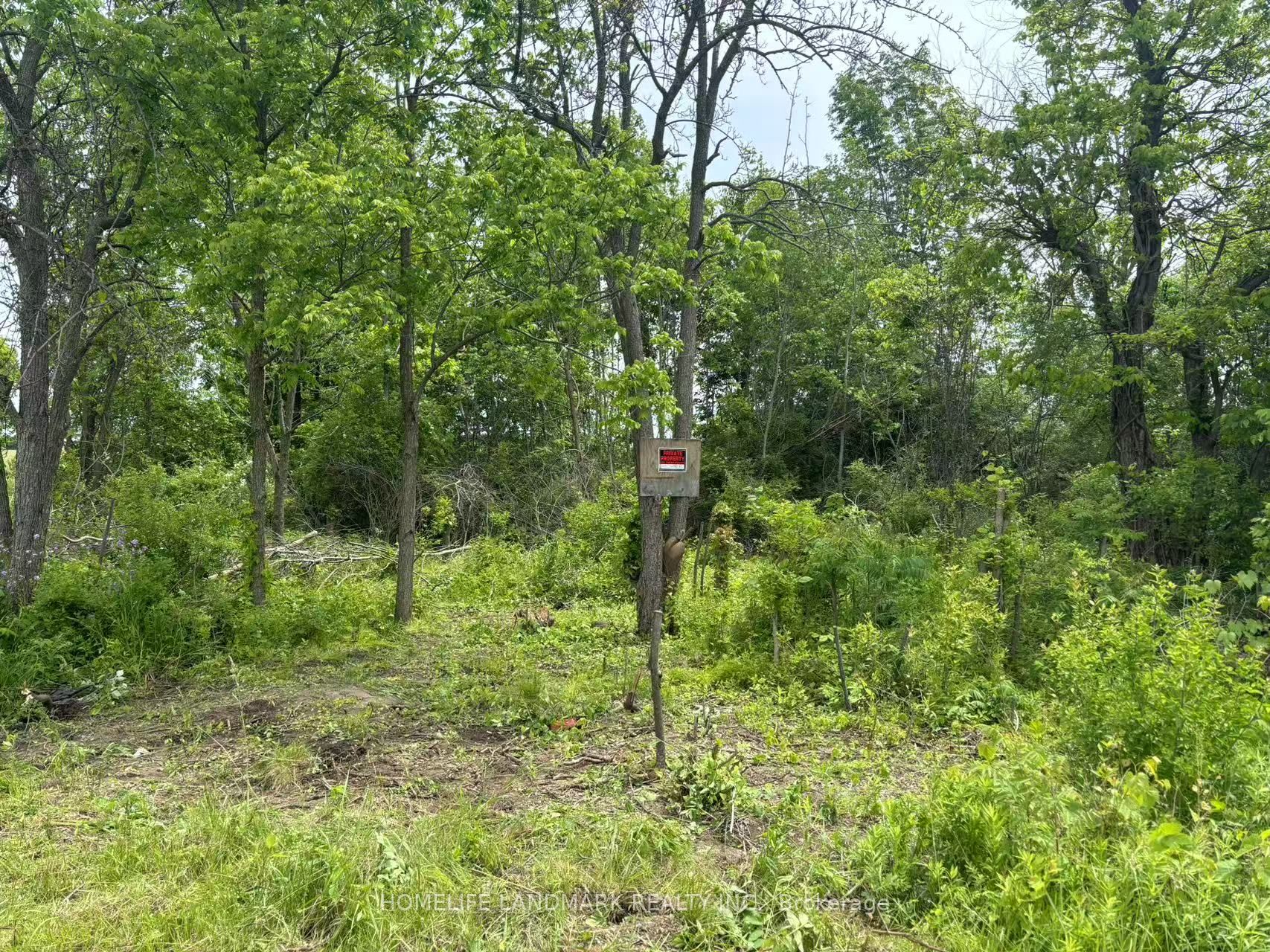 1146 Blueline Rd Property Photo 5
