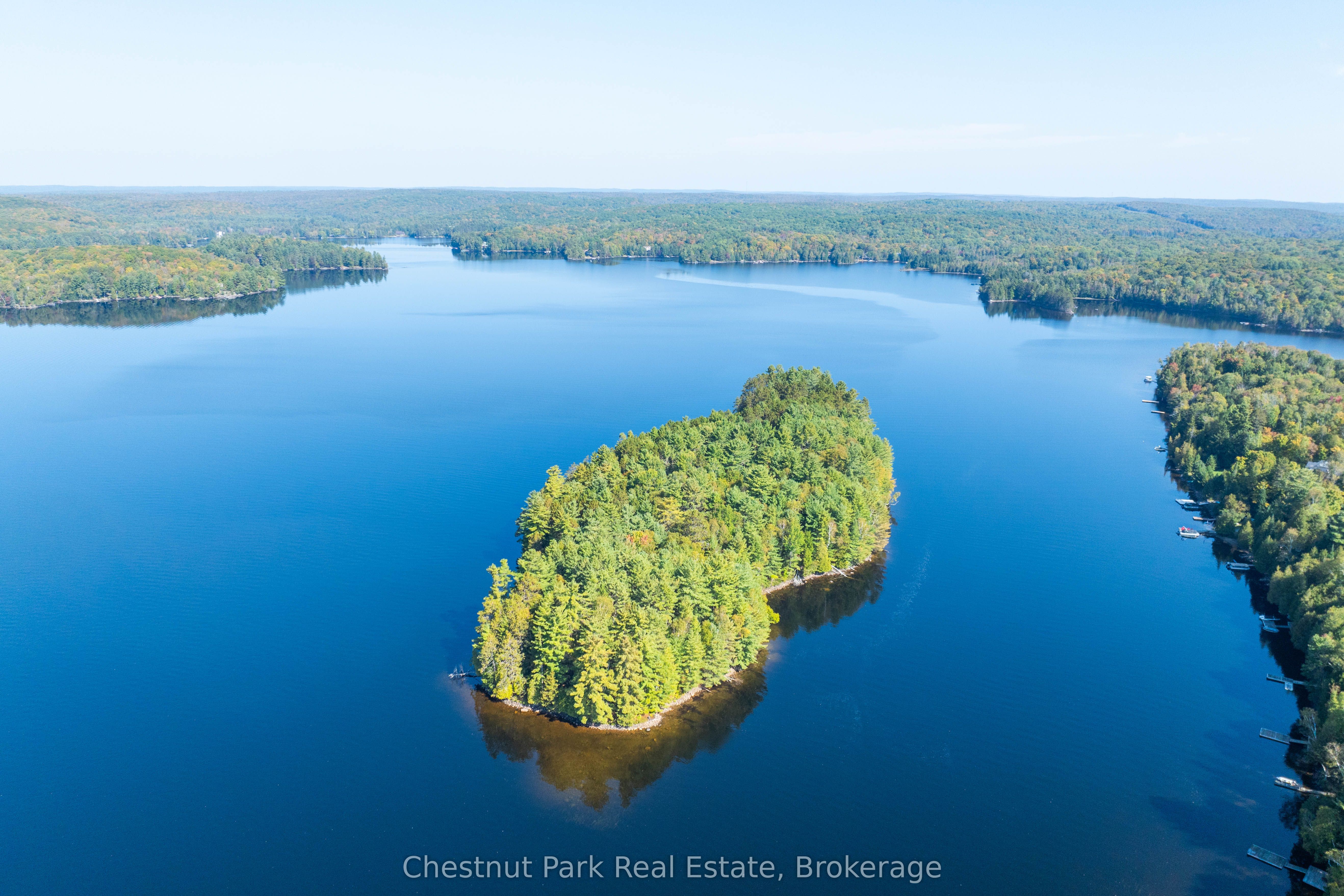 10000 Soyers - Brown Island Property Photo 1